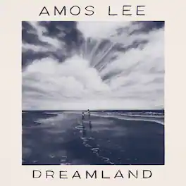 Amos Lee - Dreamland - VINYL LP