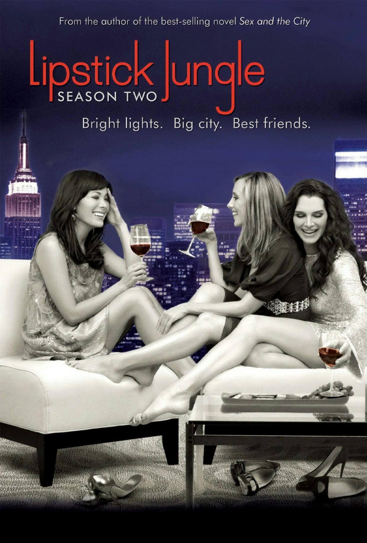 Front. Lipstick Jungle: Season 2 [DVD].