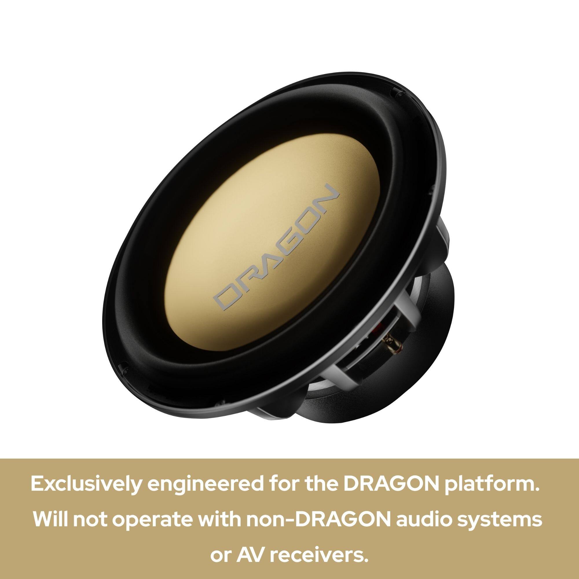 DRAGON

Exclusively engineered for the DRAGON platform. Will not operate with non-DRAGON audio systems or AV receivers.