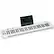 Alt View 11. Samson - Carbon 61-Key USB MIDI Keyboard Controller - White.