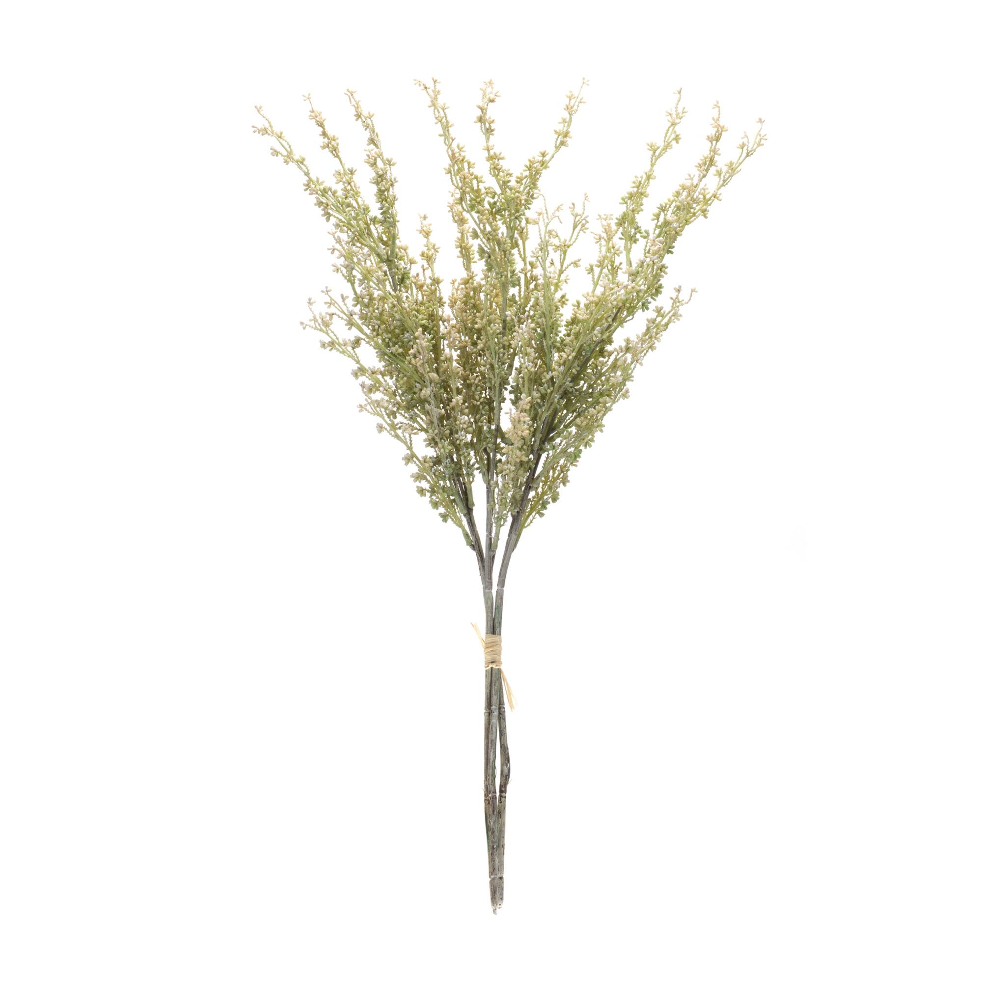 Angle. BreeBe - Mini Seed Pod Bundle (Set of 2) - Green.