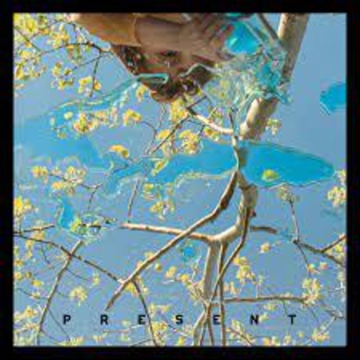 Dog Day - Present   - COMPACT DISCS [CD] price history on PriceWatchPro