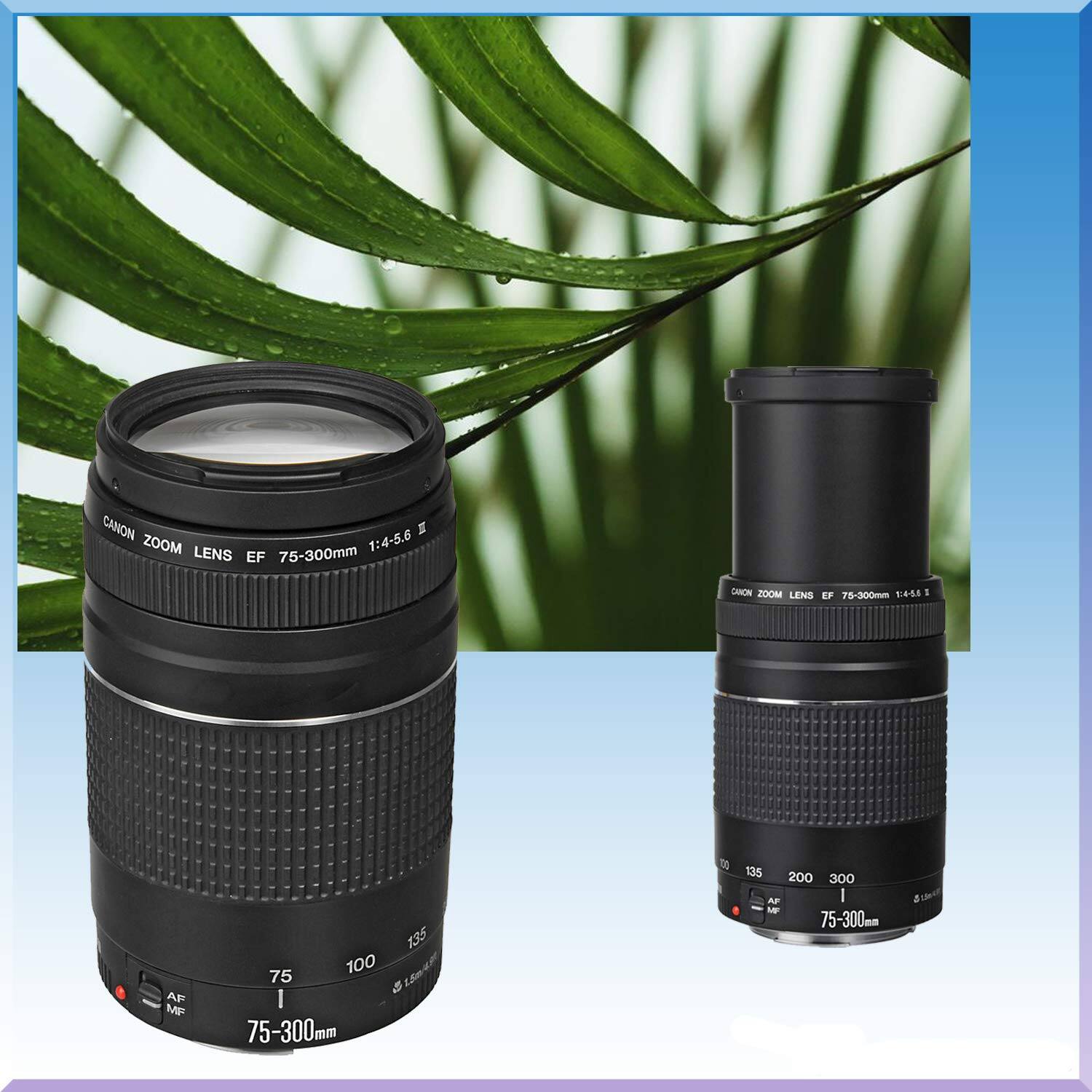CANON ZOOM LENS EF 75-300mm 1:4-5.6 I  
EF 75-300mm 5:6-45 I AP MP  
AF MF 75-300mm