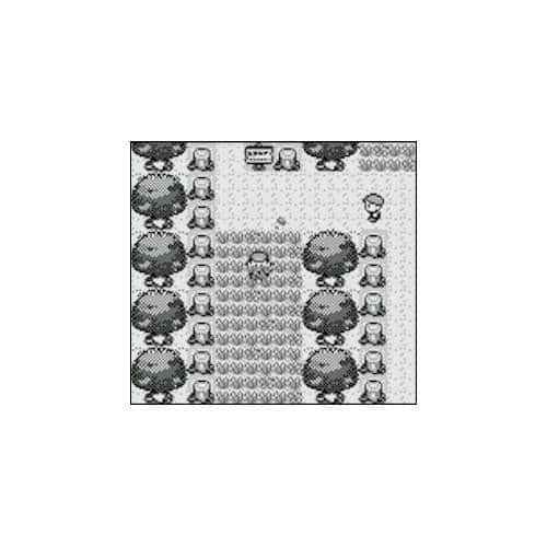 Pokémon Red Version : Nintendo : Free Download, Borrow, and