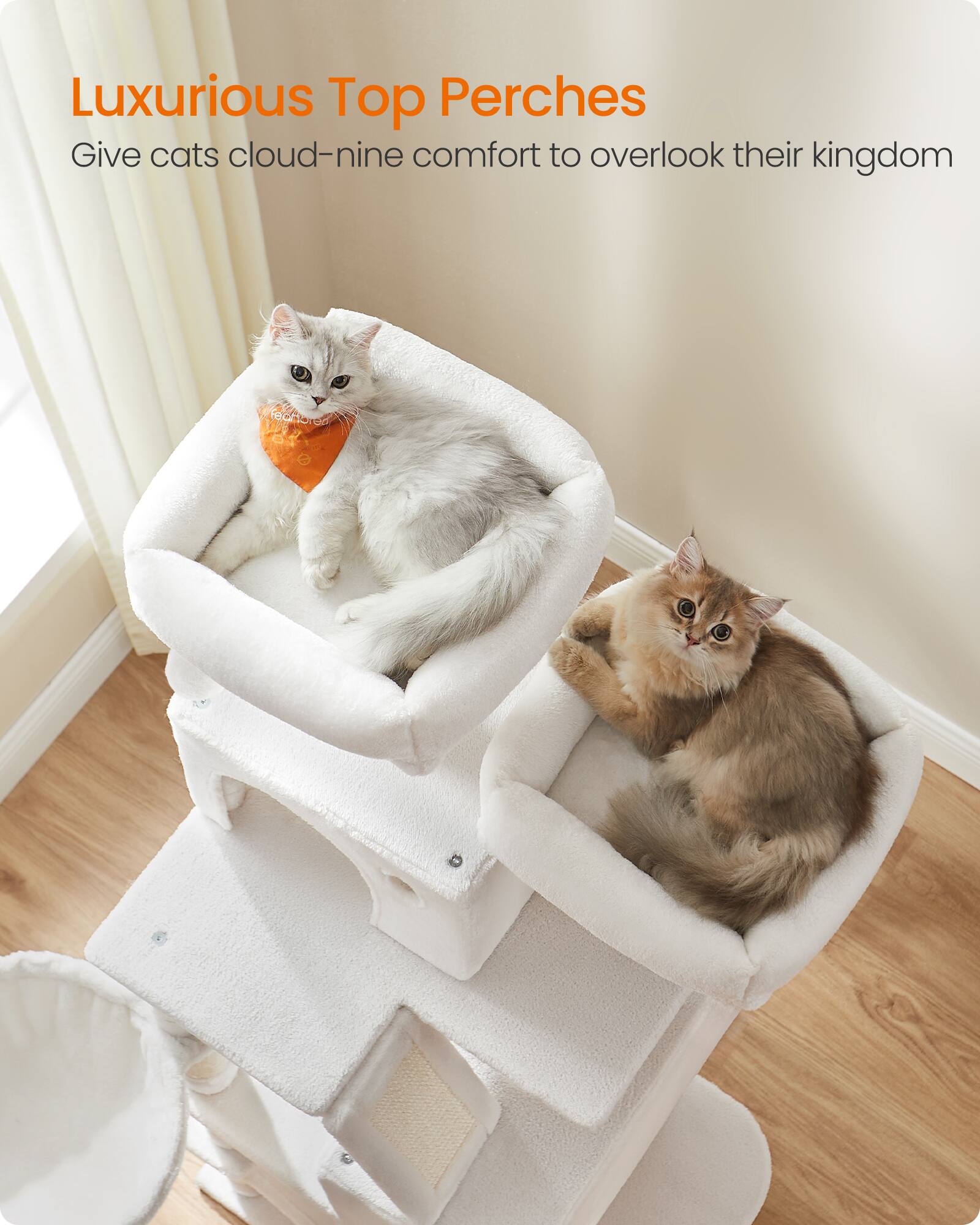 Luxurious Top Perches  
Give cats cloud-nine comfort to overlook their kingdom