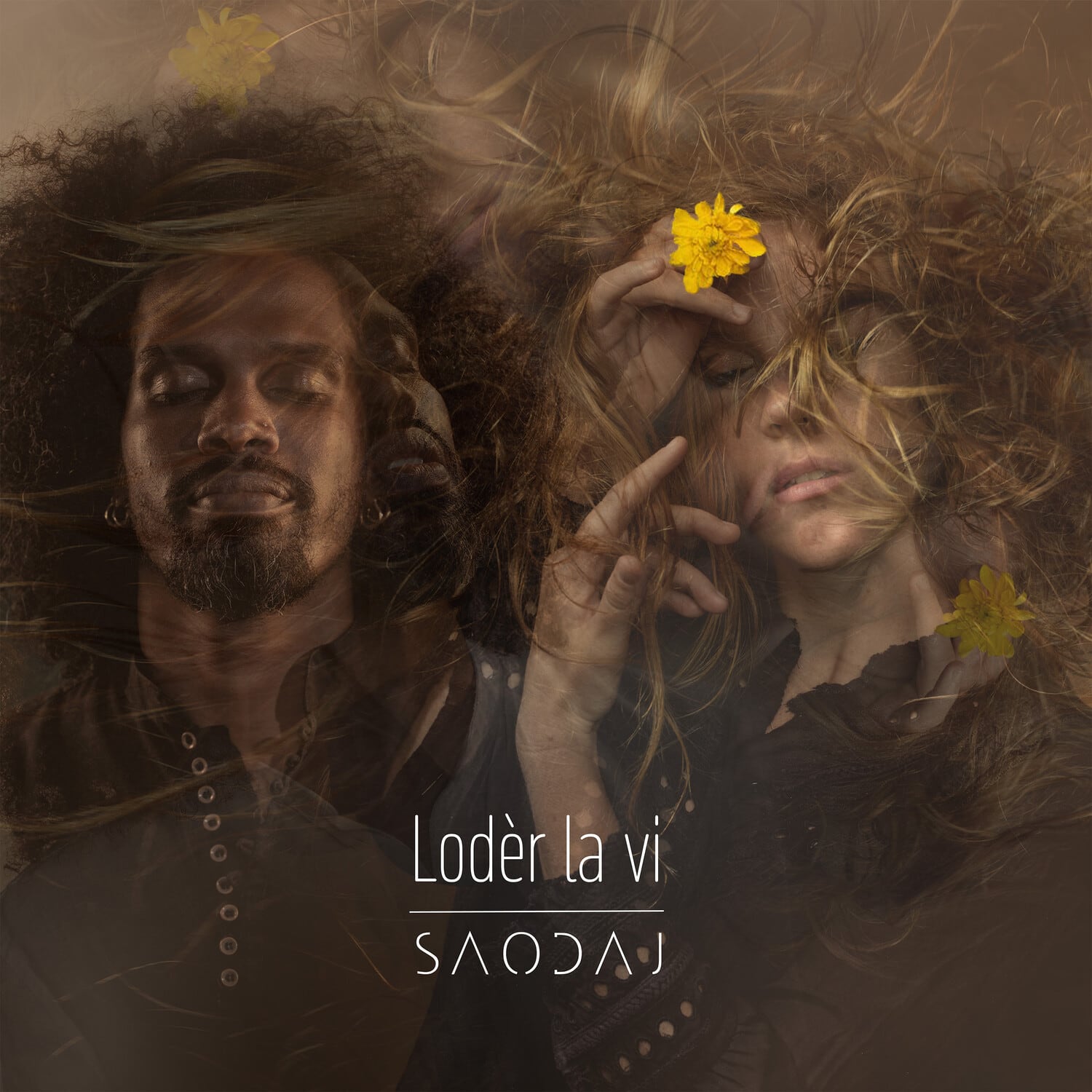 Saoda - Loder La Vi   - COMPACT DISCS [CD] price history on PriceWatchPro