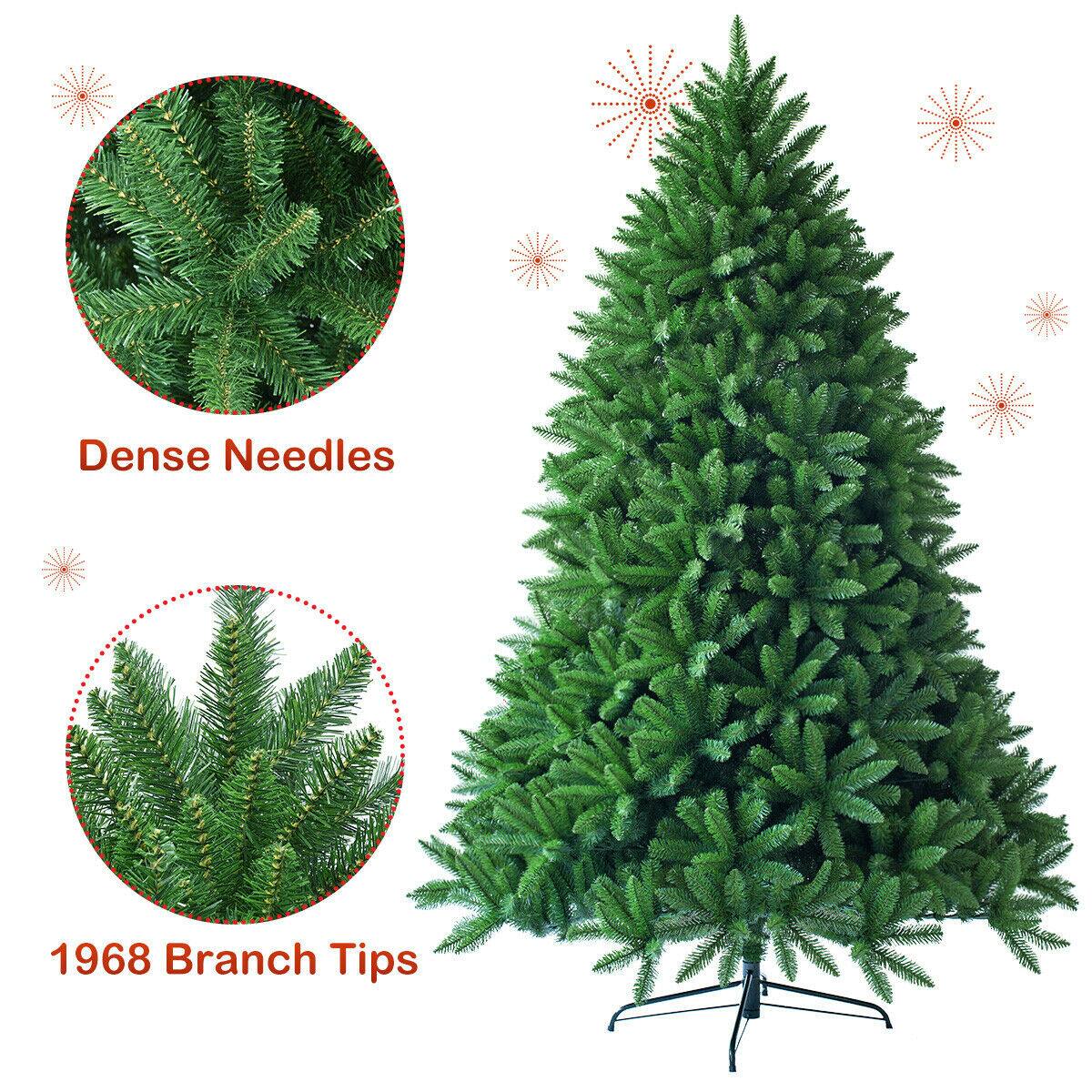 Dense Needles

1968 Branch Tips