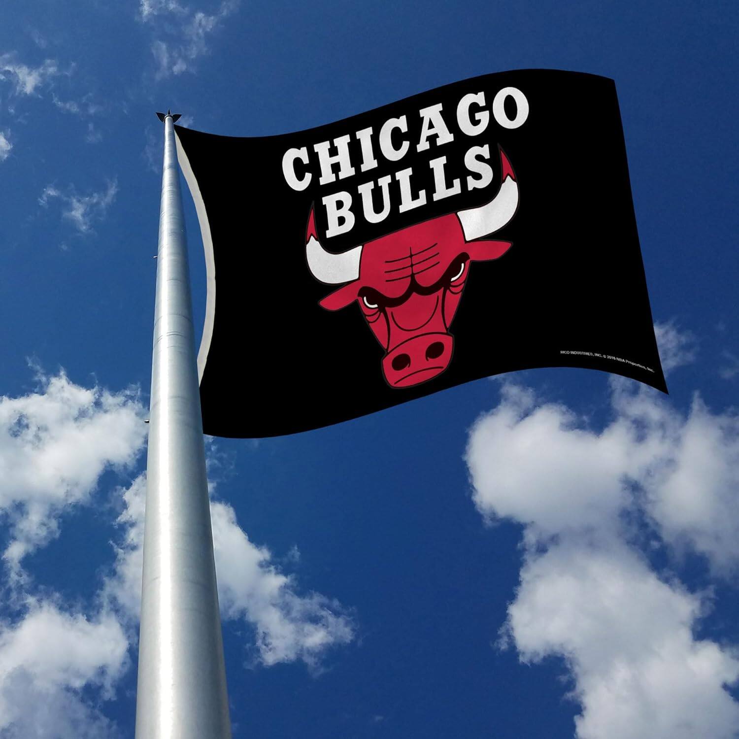 CHICAGO BULLS