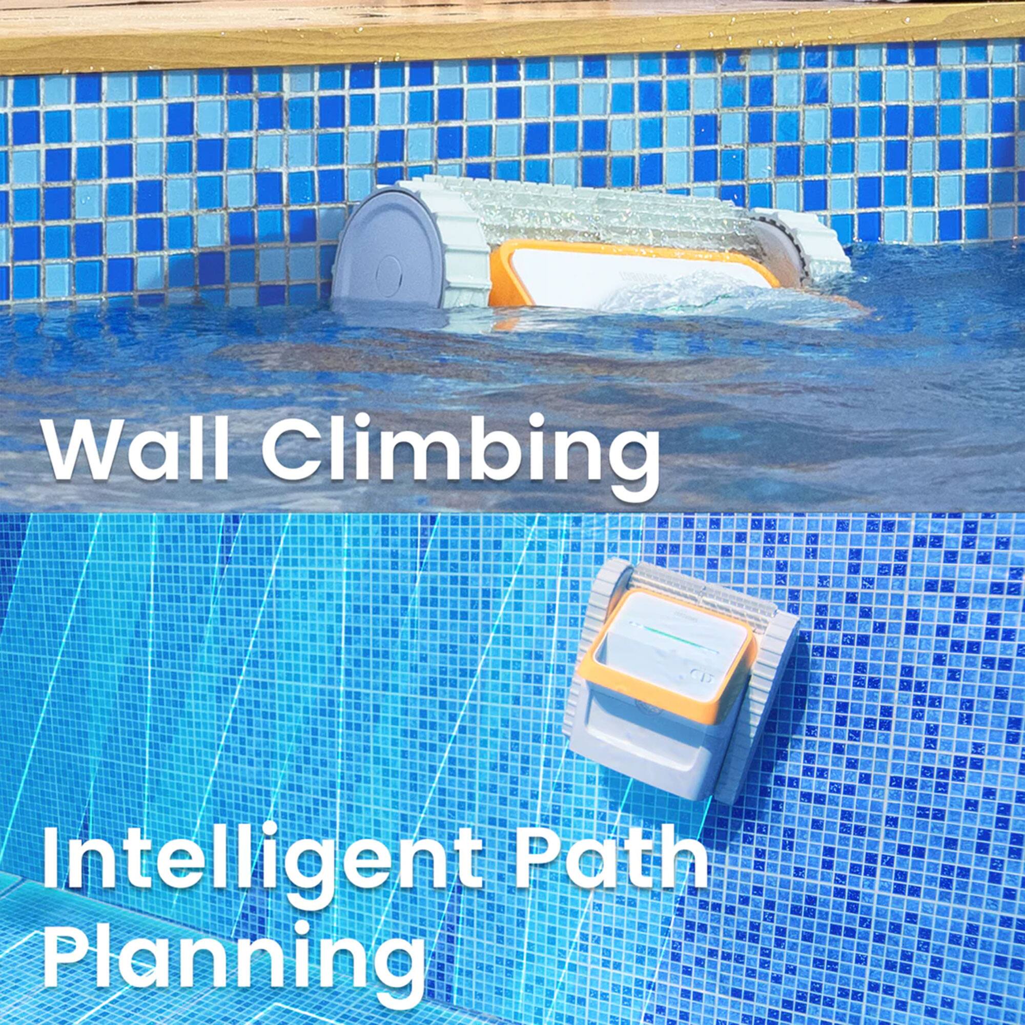 Wall Climbing  
Intelligent Path Planning