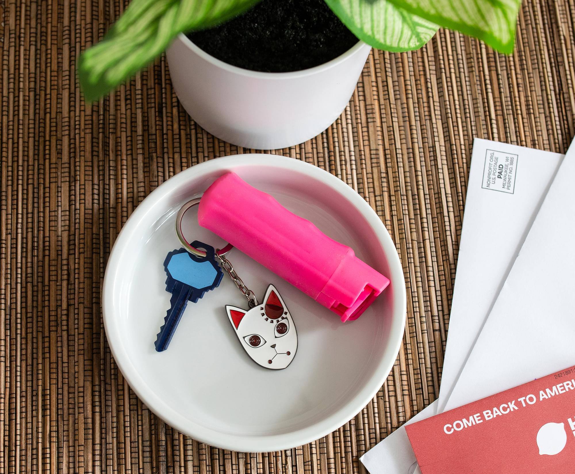 DBO WI SOR NONPROFIT POSTAGE PAID MILWAUKEE WI U.S. PEHMI MIL - 2421891 TO AMER BACK COME