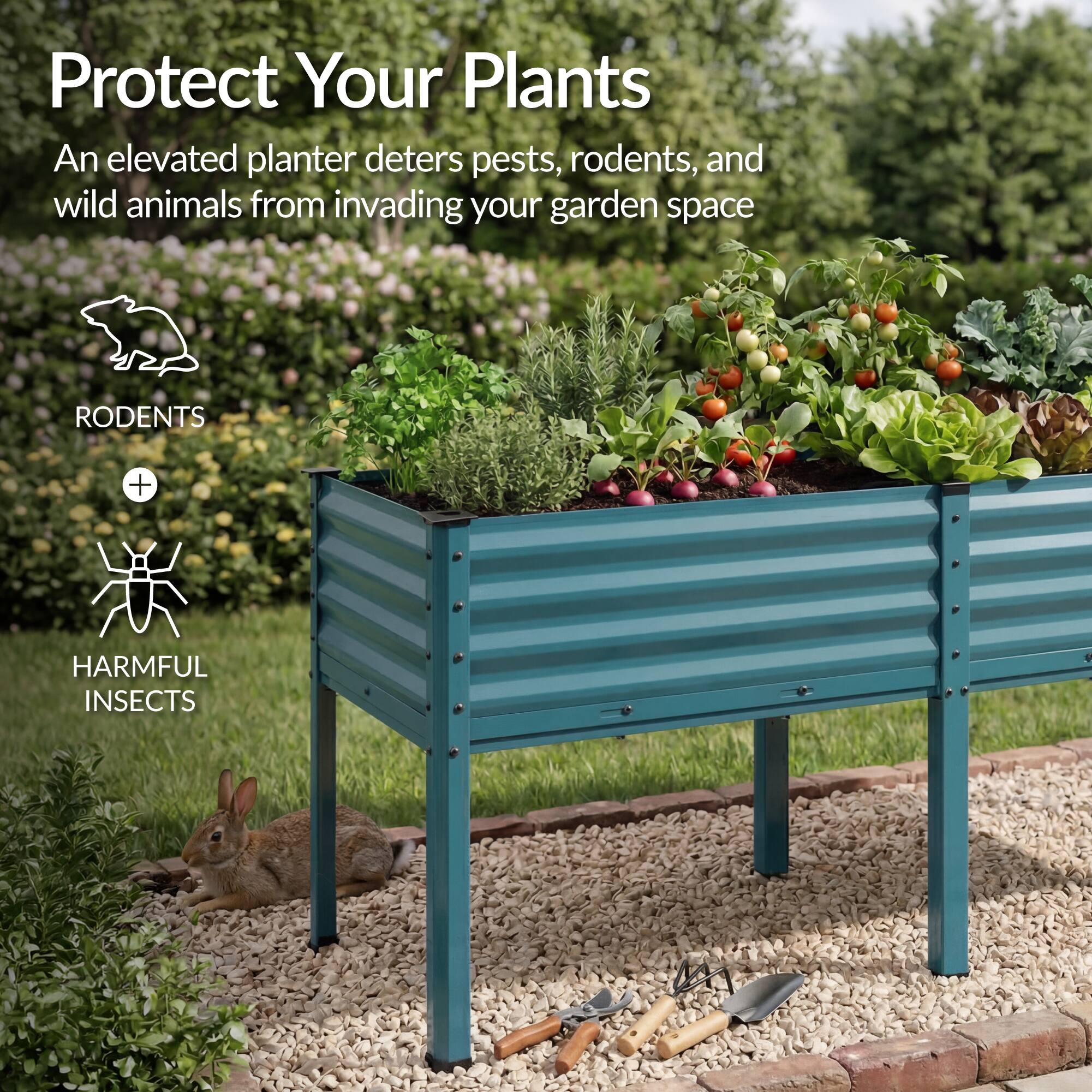 Protect Your Plants

An elevated planter deters pests, rodents, and wild animals from invading your garden space

RODENTS + HARMFUL INSECTS
