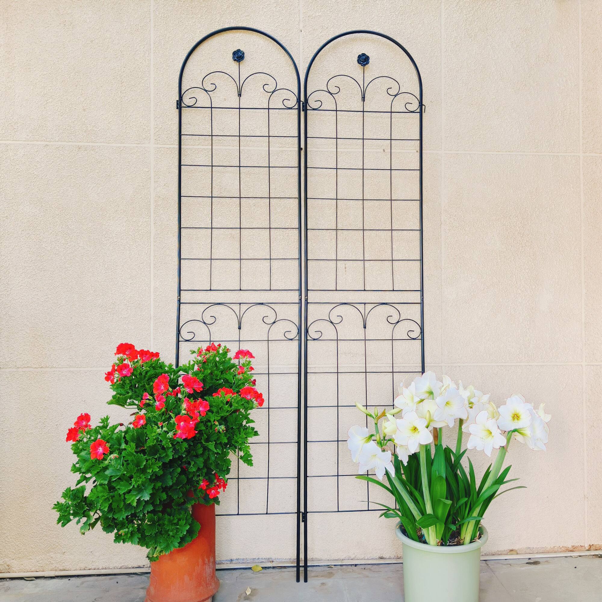 Left. Loheer - 7.2 x 1.6 ft 4 Pack Metal Garden Trellis - Rustproof Outdoor Plant Support.