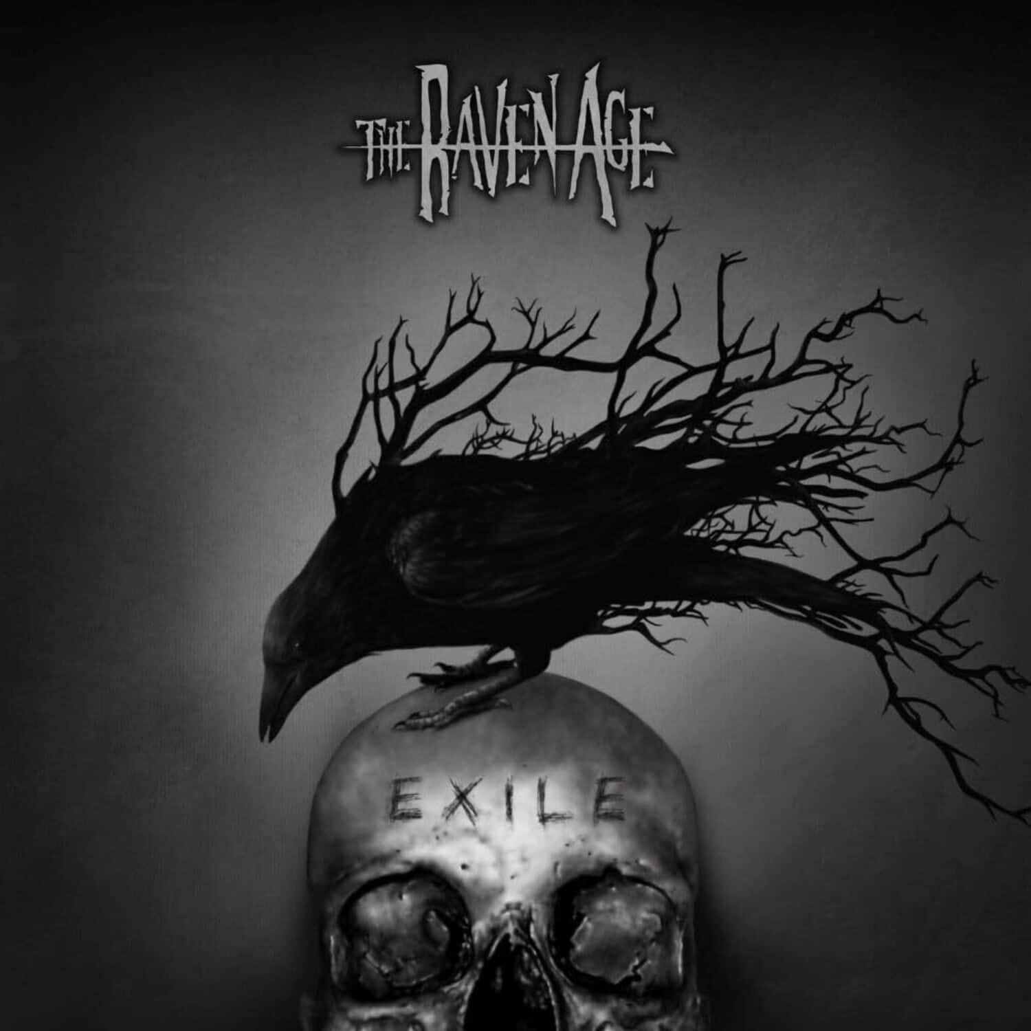 Raven Age - Exile   - COMPACT DISCS [CD] price history on PriceWatchPro
