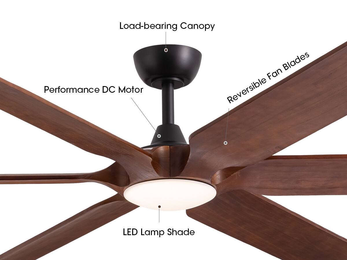 - Load-bearing Canopy
- Performance DC Motor
- Reversible Fan Blades
- LED Lamp Shade