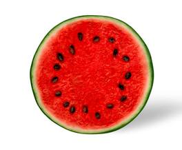 Toynk - Watermelon Slice Round Fleece Throw Blanket | 60 Inches - Red