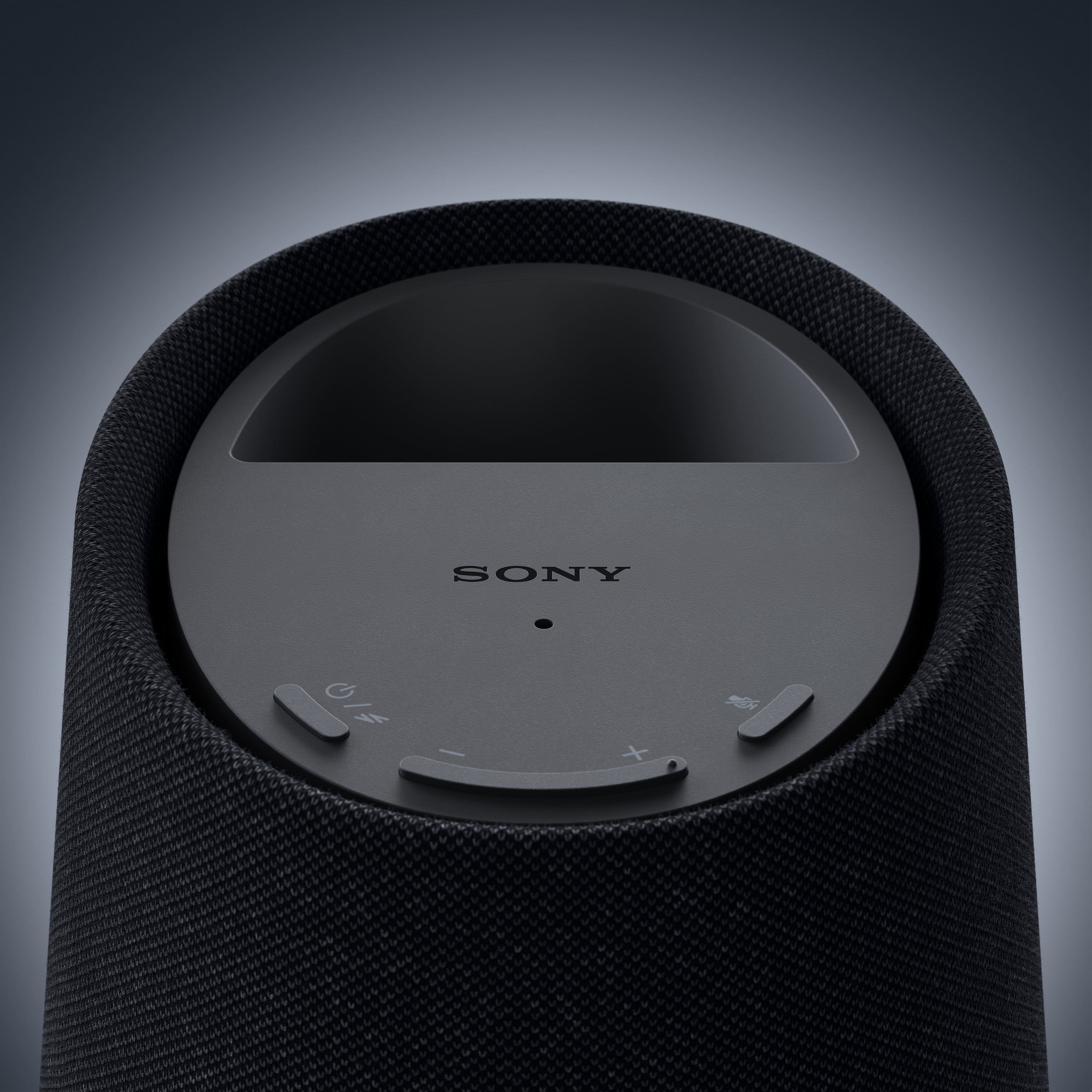 Sony Interactive Entertainment - PULSE Elevate Wireless Spea