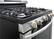 Alt View 12. LG - 5.4 Cu. Ft. Freestanding Gas Range - Stainless Steel.