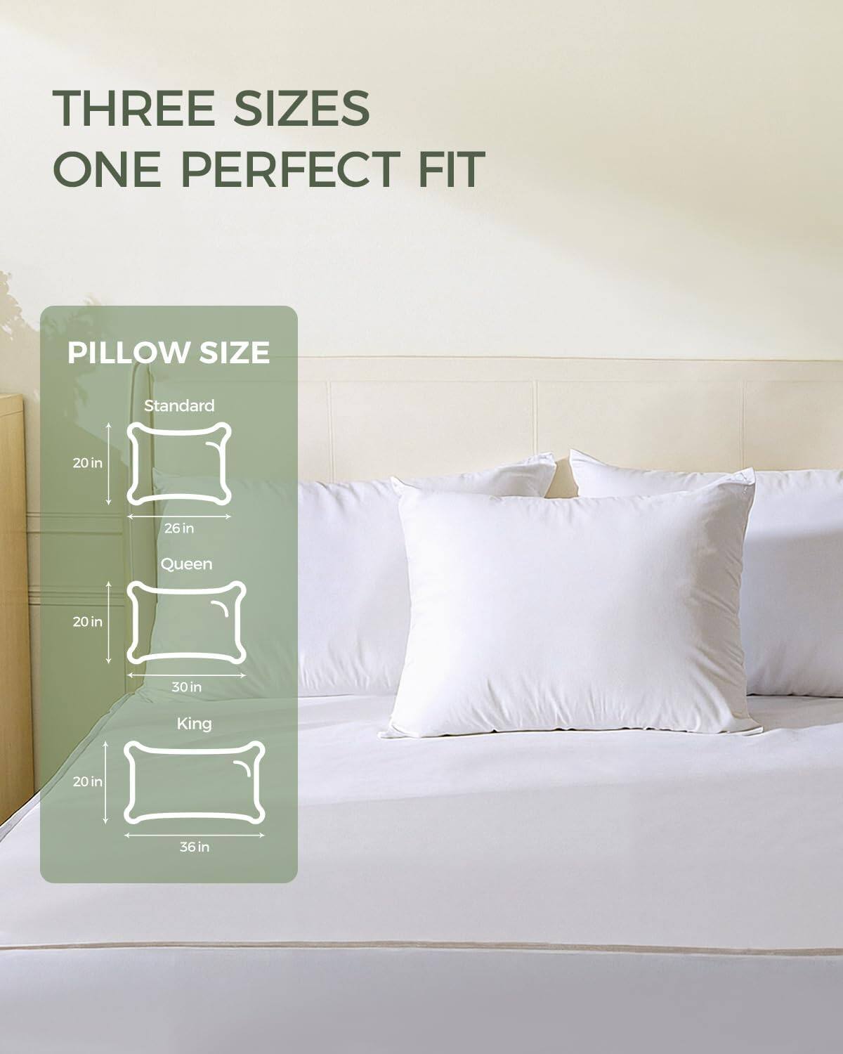 THREE SIZES ONE PERFECT FIT

PILLOW SIZE

Standard  
20 in x 26 in

Queen  
20 in x 30 in

King  
20 in x 36 in