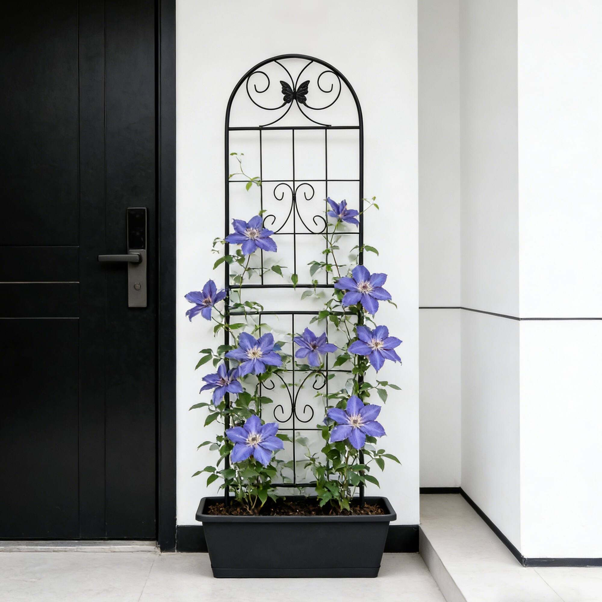 Back. Loheer - 2 Pack Rustproof Metal Garden Trellis 5.9 ft x 1.6 ft for Climbing Plants - Black.