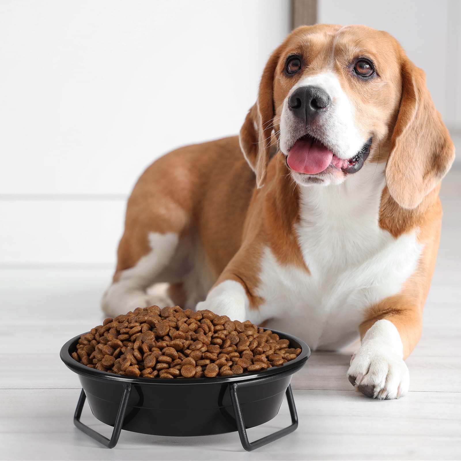 "Oumilen - Disposable Pet Bowls 50 Pack – 6.1"" Plastic Dog Cat Feed Bowls, Leak-Resistant for Dry Wet Food Water  - Black" price history on PriceWatchPro