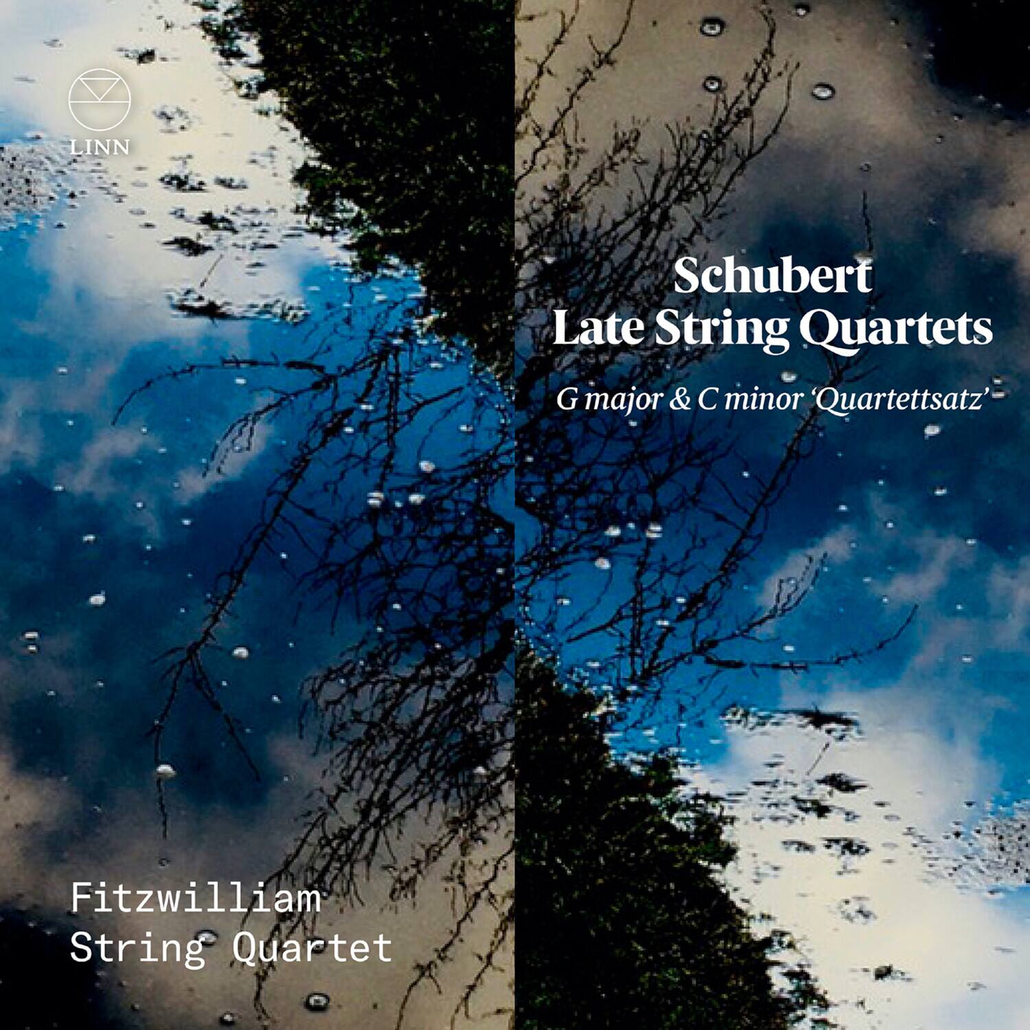 Fitzwilliam String Quartet Late String Quartets COMPACT DISCS [CD ...