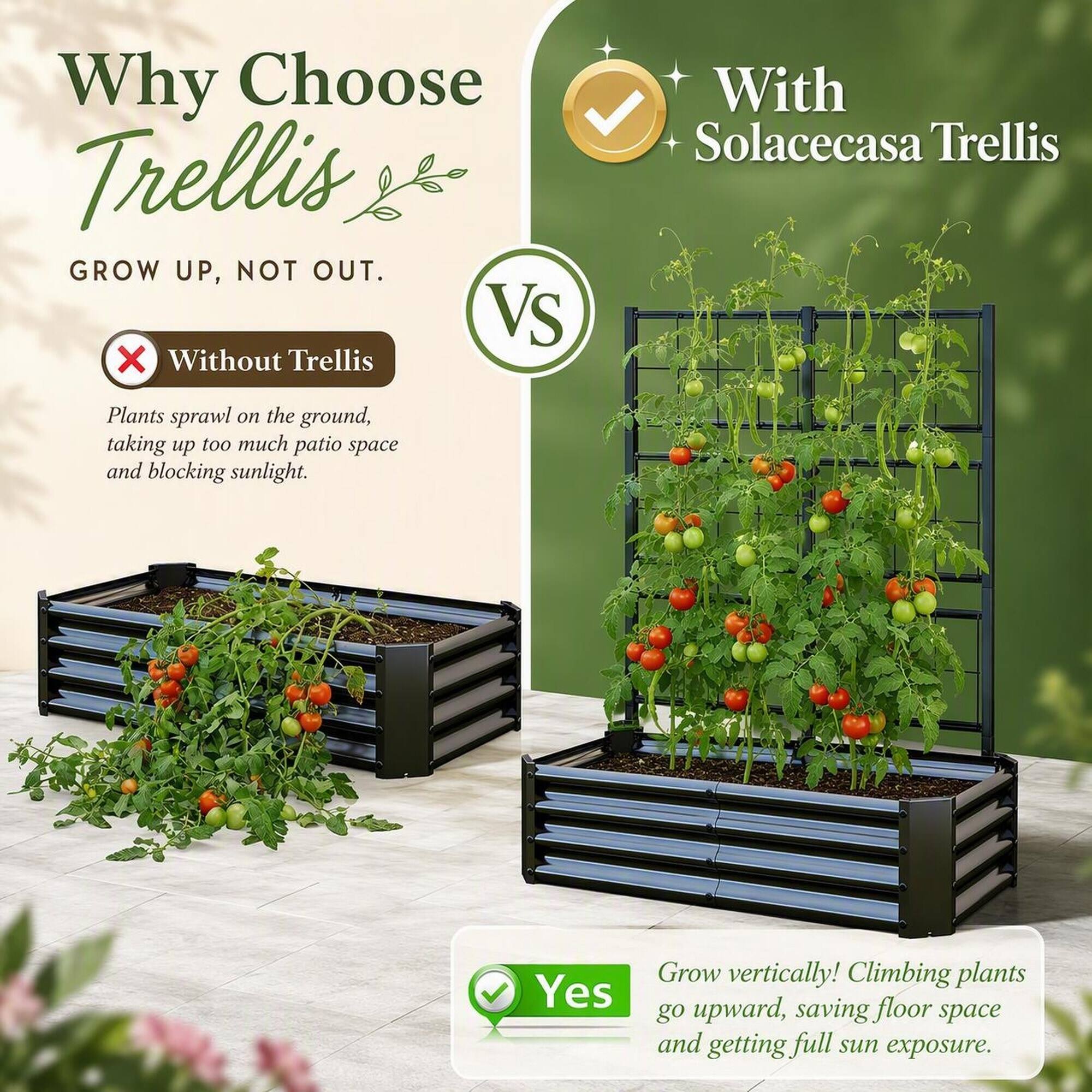 Why Choose Trellis  
GROW UP, NOT OUT.  

VS  

Without Trellis  
Plants sprawl on the ground, taking up too much patio space and blocking sunlight.  

With Solacecasa Trellis  
Grow vertically! Climbing plants go upward, saving floor space and getting full sun exposure.
