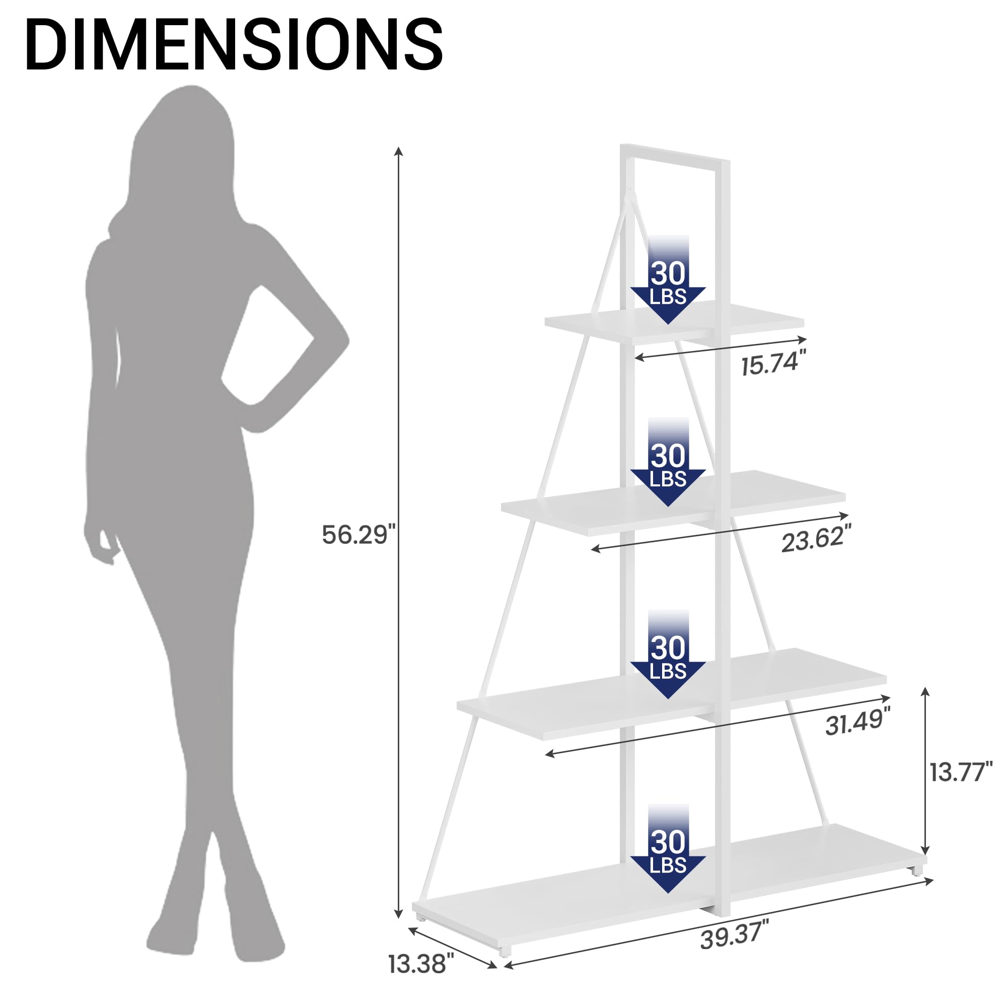 DIMENSIONS

- 30 LBS
  - 15.74" (width)
  - 23.62" (depth)
  - 31.49" (height)
  - 13.77" (shelf height)

- 30 LBS
  - 13.38" (width)
  - 39.37" (depth)
  - 56.29" (total height)