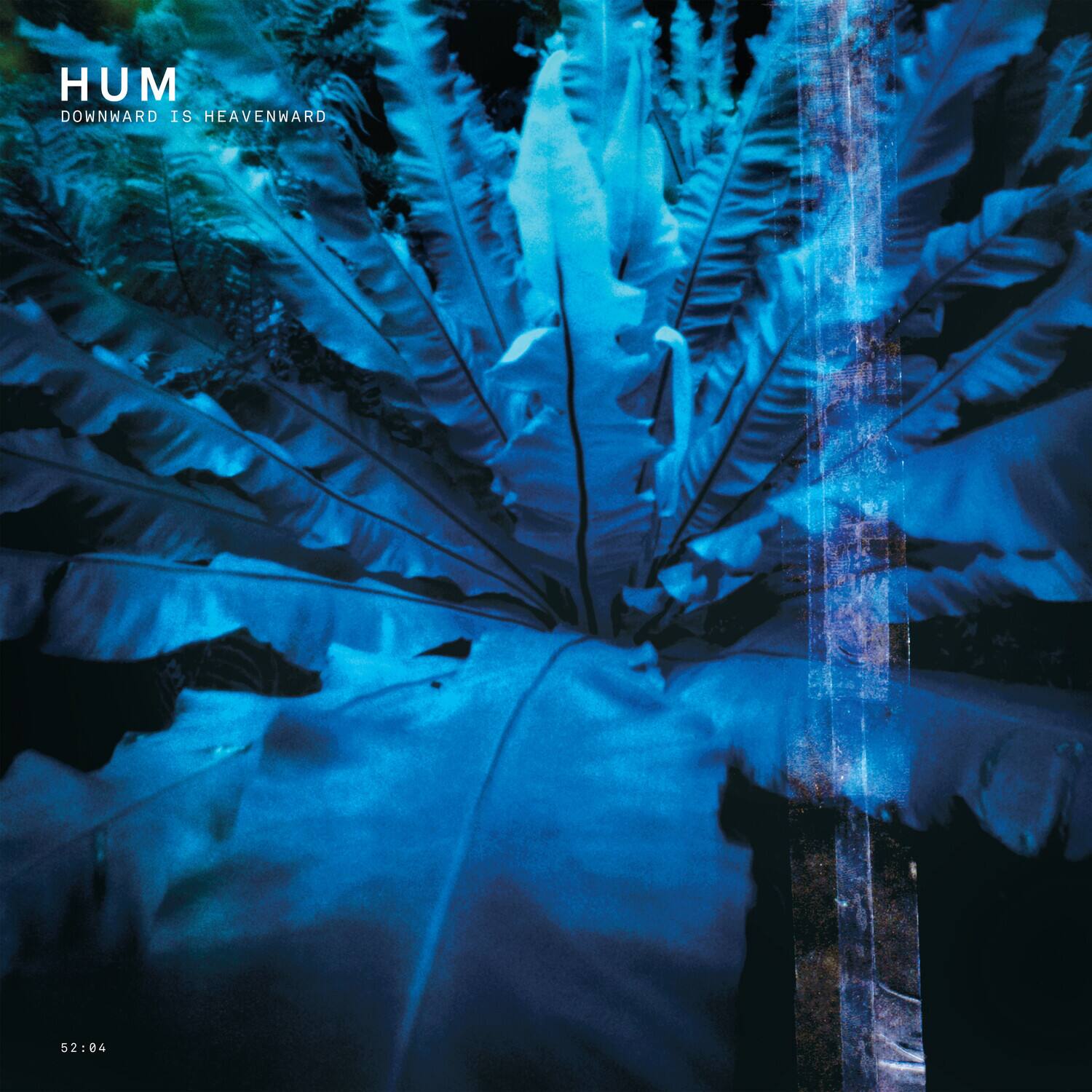 HUM  
DOWNWARD IS HEAVENWARD  

52:84