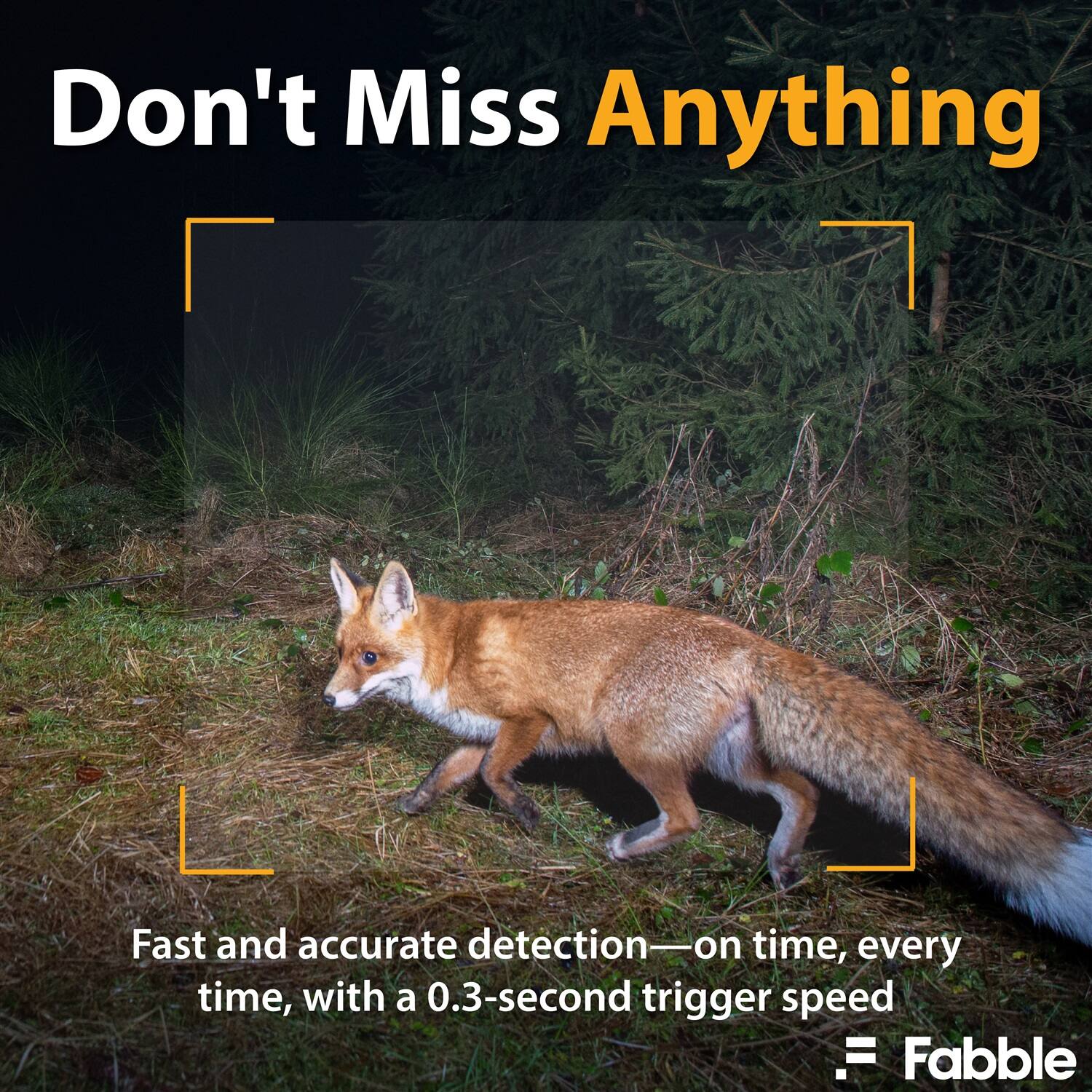 Don't Miss Anything

Fast and accurate detection—on time, every time, with a 0.3-second trigger speed

Fabble