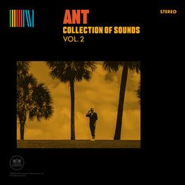 Ant - Collection of Sounds Vol. 2 - Yellow - VINYL LP