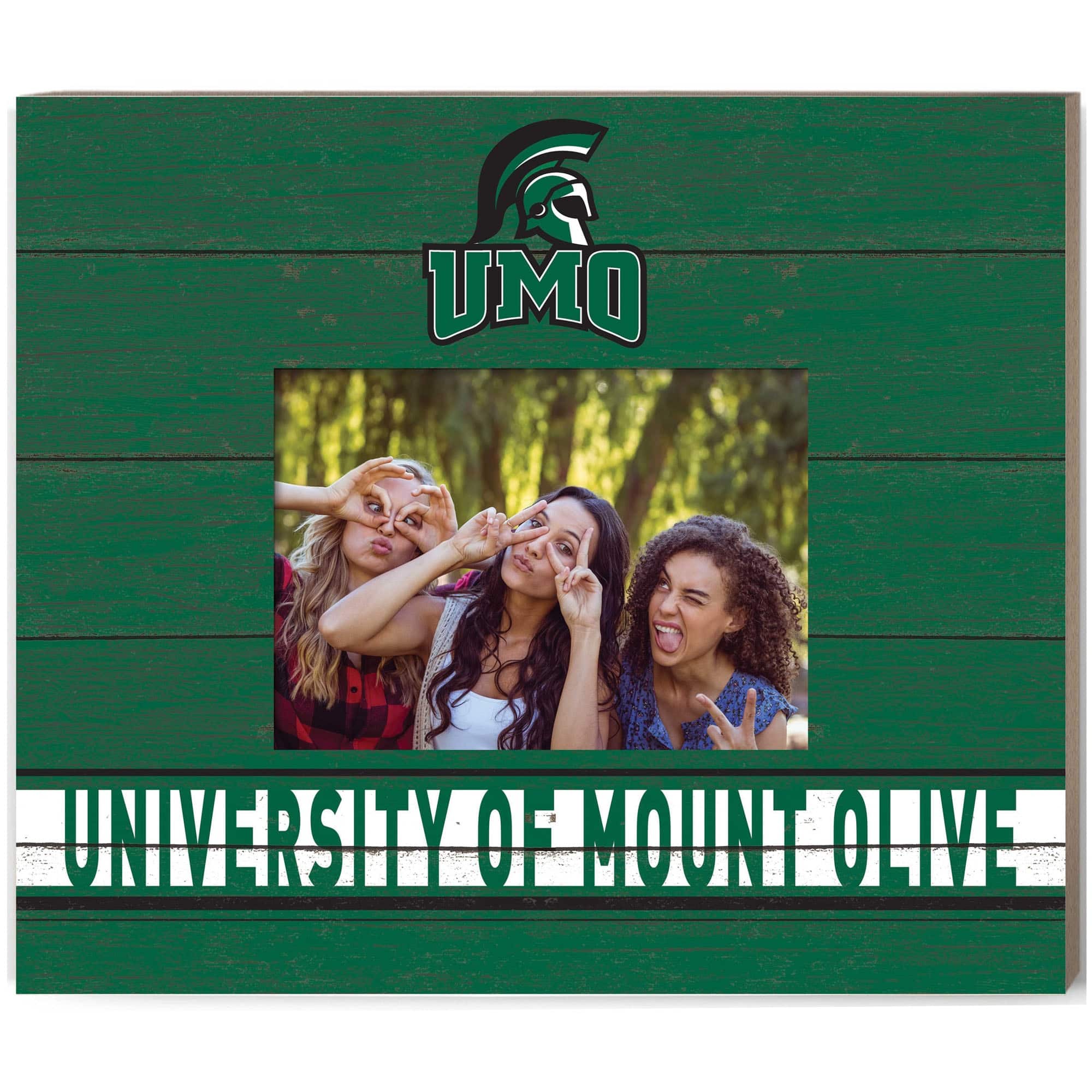 Jardine - Mount Olive Trojans 11'' x 13'' Team Spirit Scholastic Picture Frame - Green price history on PriceWatchPro