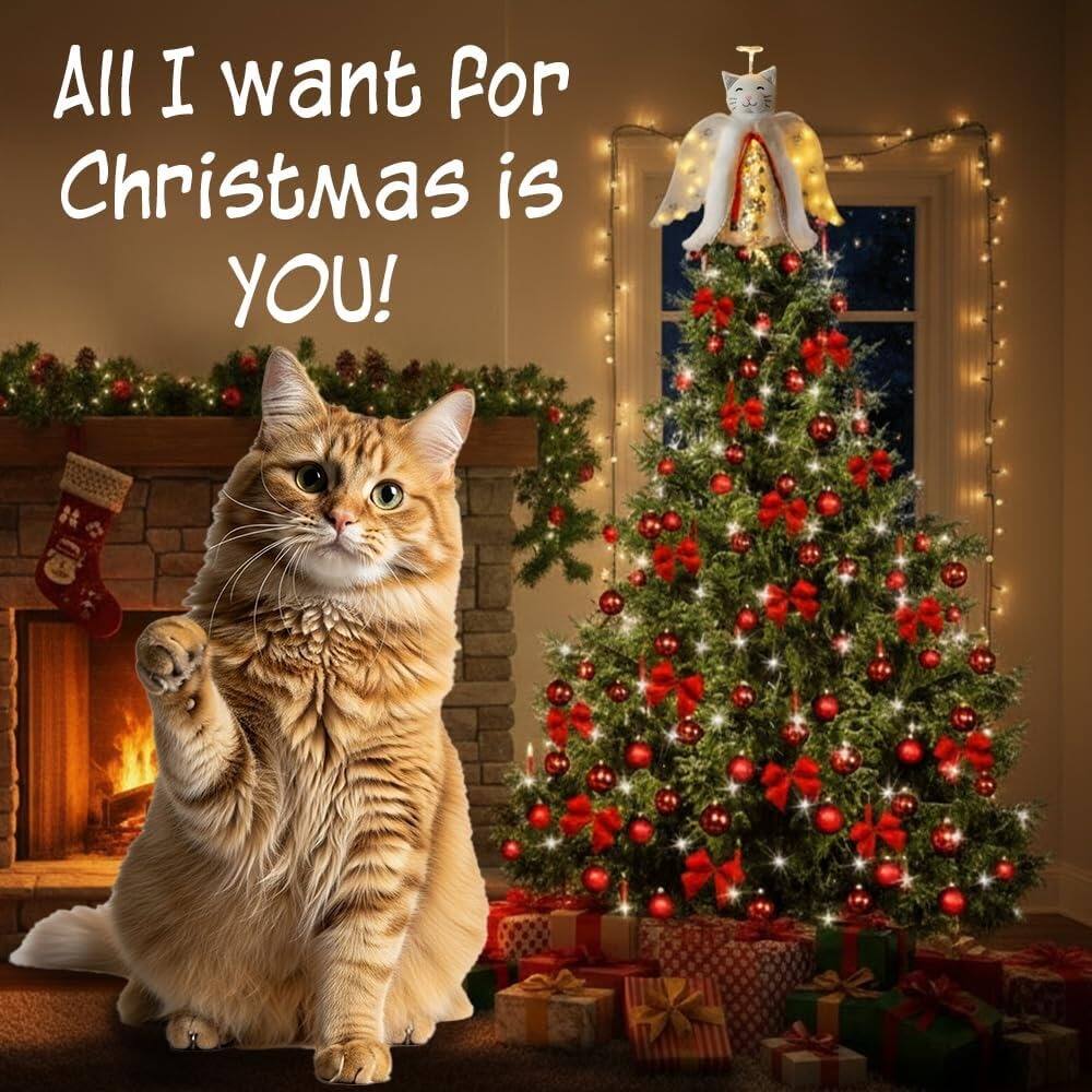 All I want for Christmas is YOU!