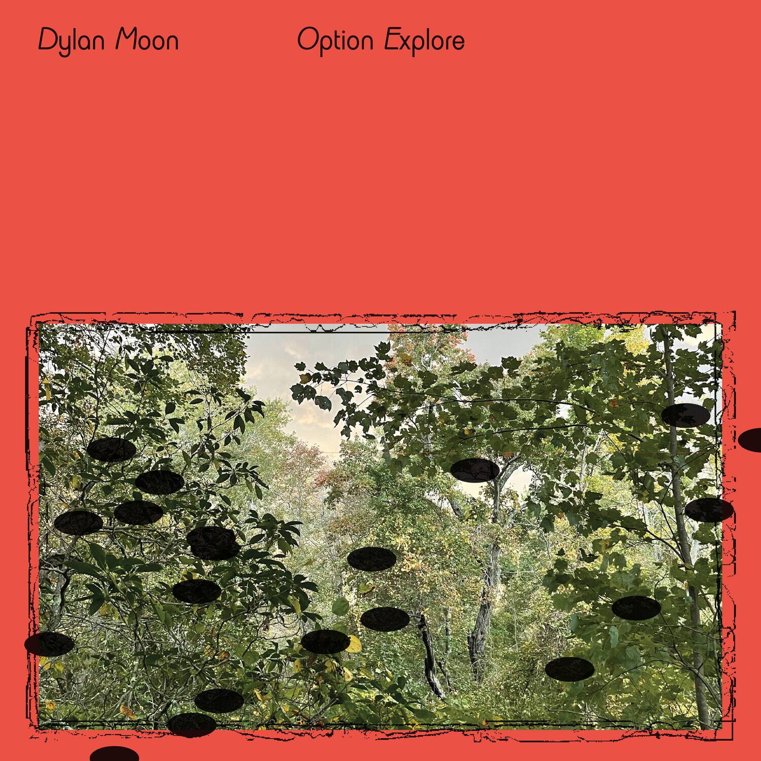 Dylan Moon  
Option Explore