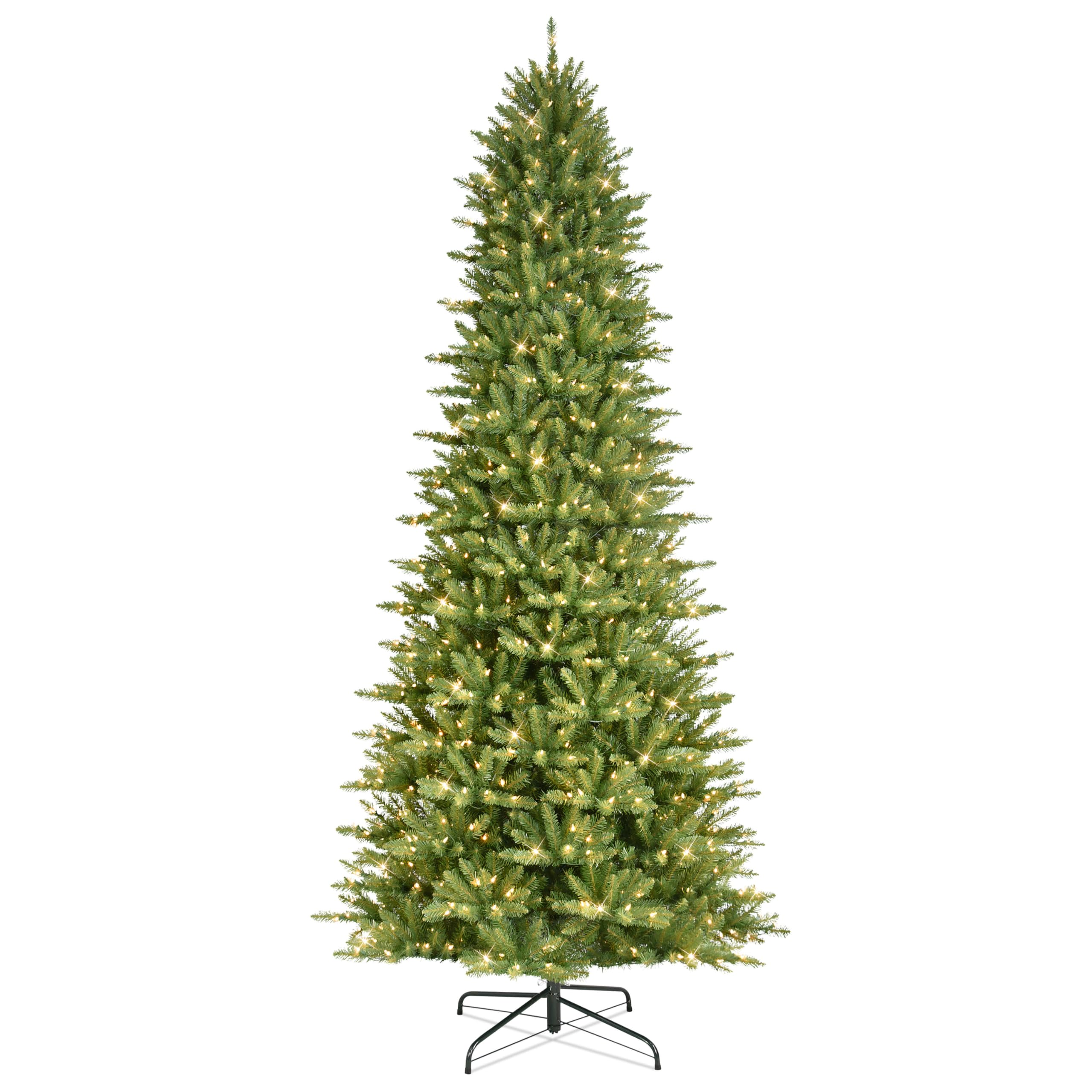 10' Slim Fraser Fir with 900 Clear Lights