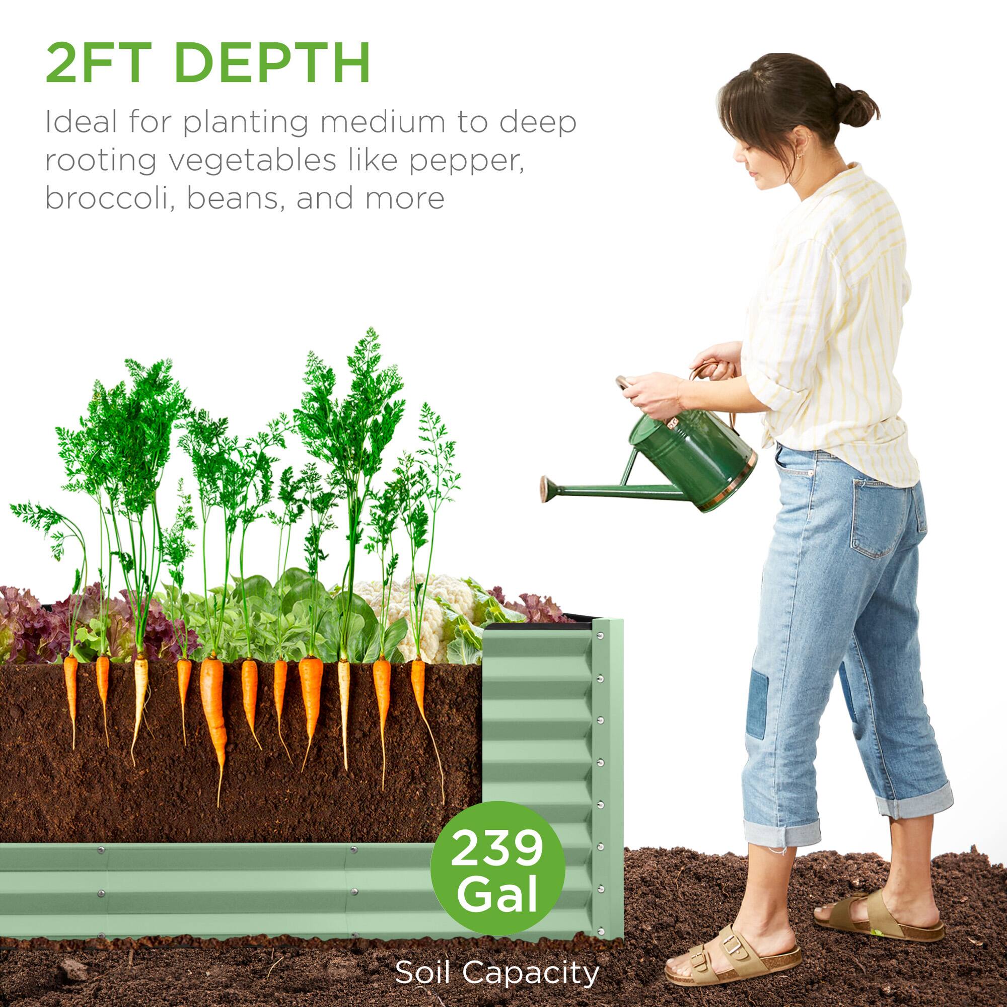 2FT DEPTH  
Ideal for planting medium to deep rooting vegetables like pepper, broccoli, beans, and more  

239 Gal  
Soil Capacity