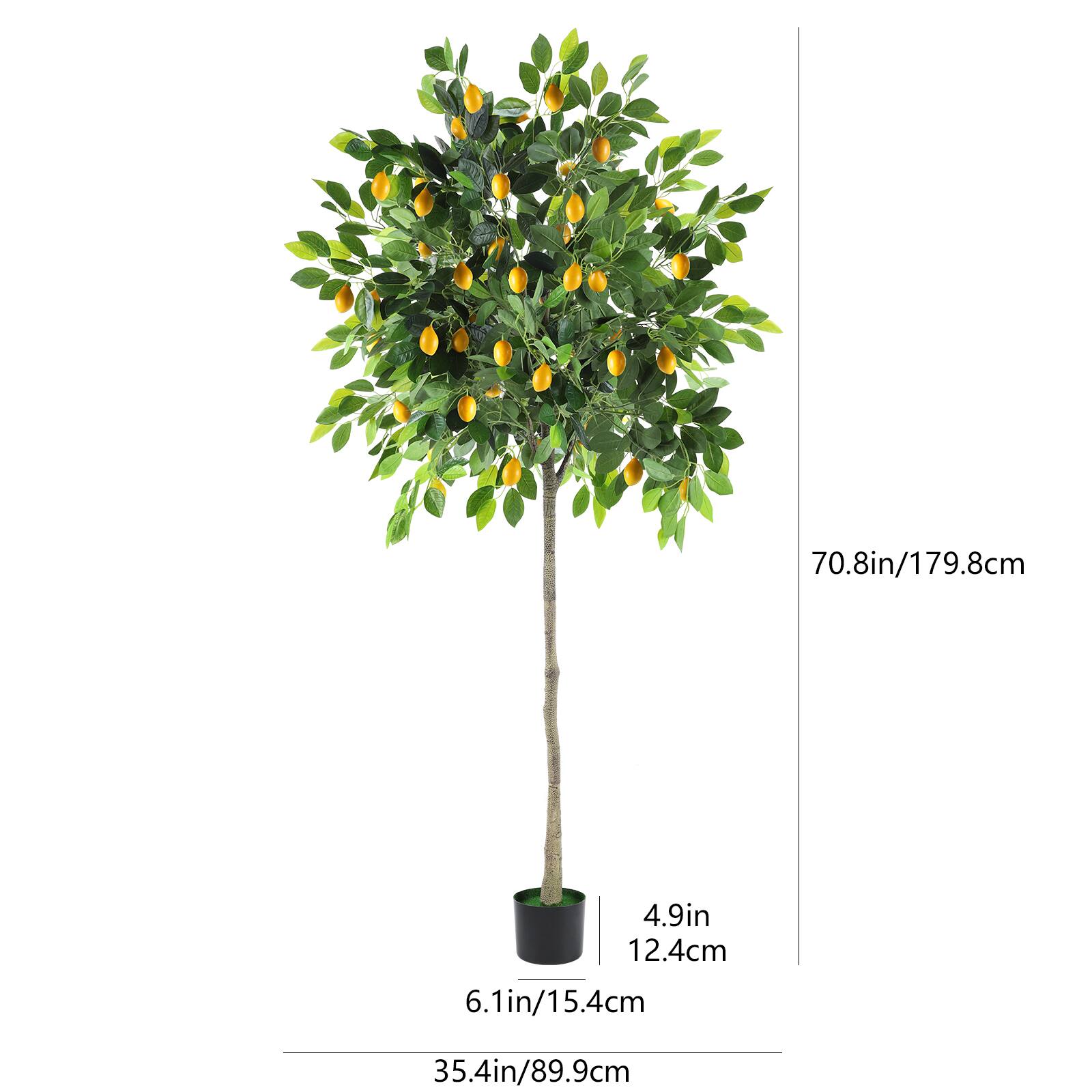 70.8in/179.8cm  
4.9in/12.4cm  
6.1in/15.4cm  
35.4in/89.9cm