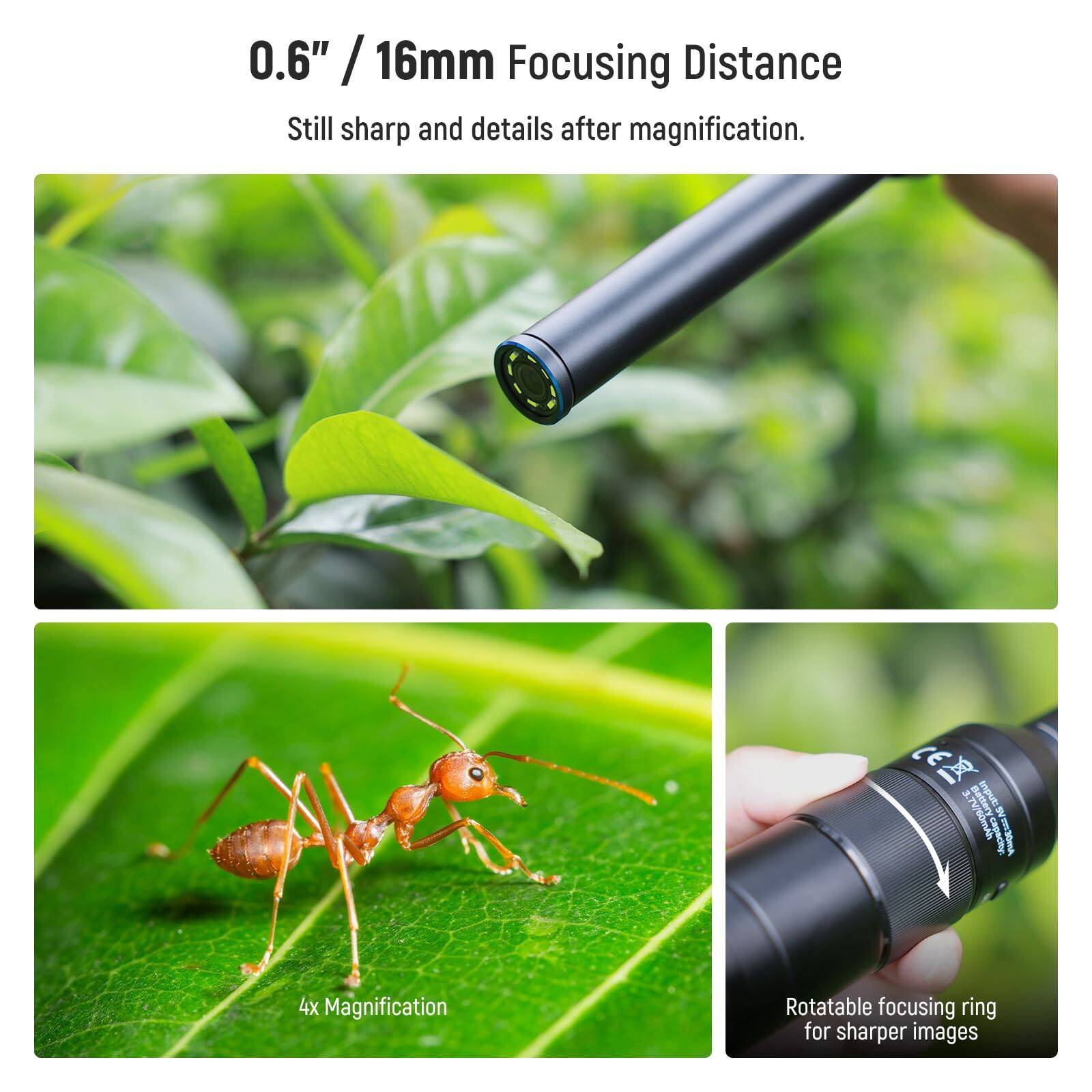 0.6" / 16mm Focusing Distance  
Still sharp and details after magnification.  

3. TW/SOmAN nattery IV m30mA  
4x Magnification  
Rotatable focusing ring for sharper images
