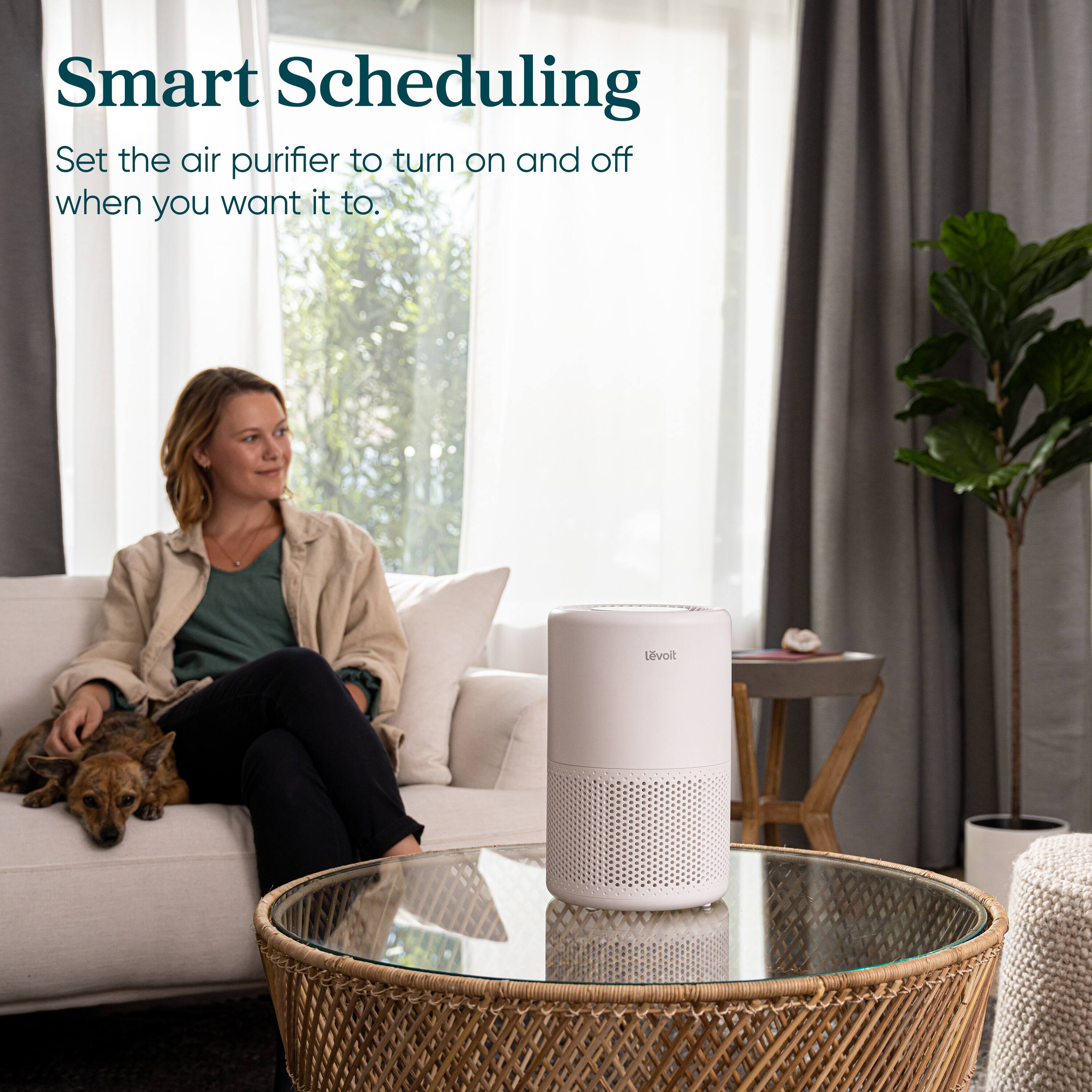 Smart Scheduling: Set the air purifier to turn on and off when you want it to. Levoit.