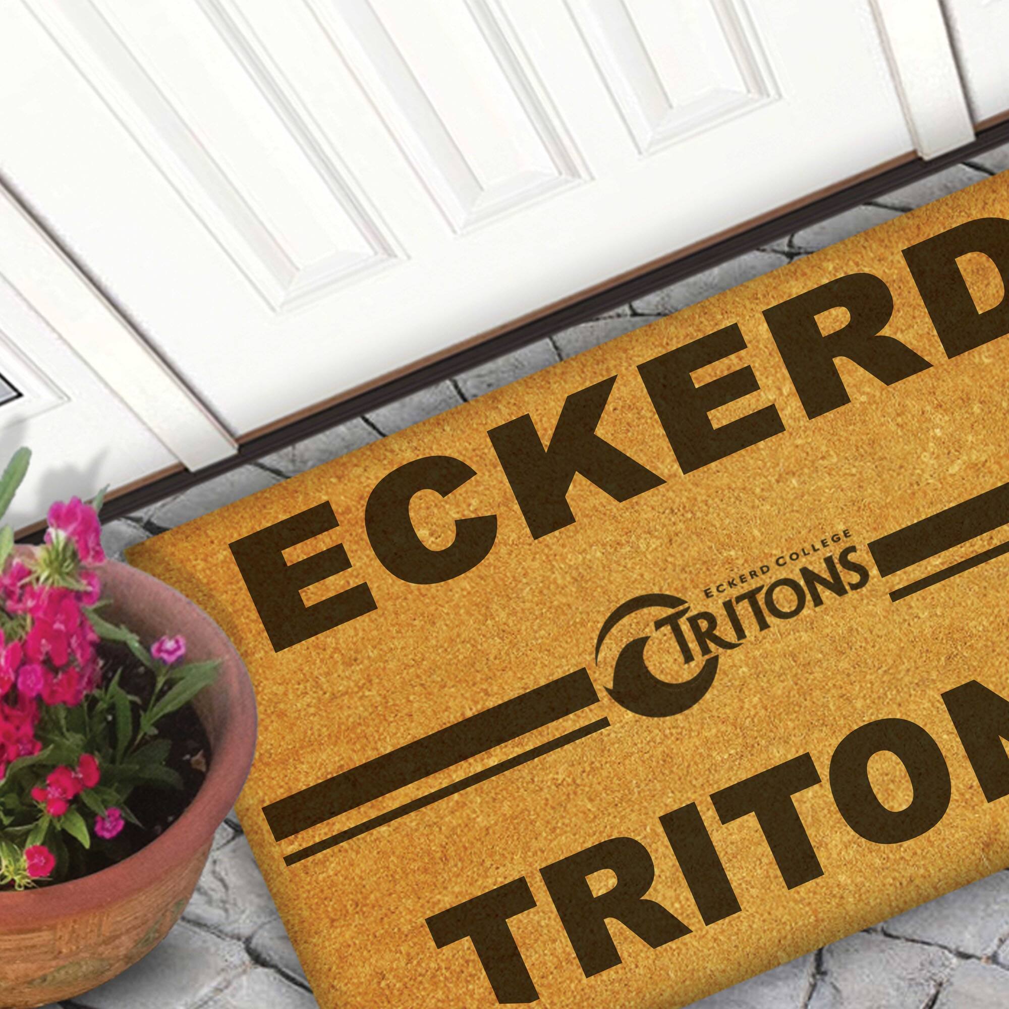 ECKERD COLLEGE  
TRITONS  
ECKERD  
TRITONS