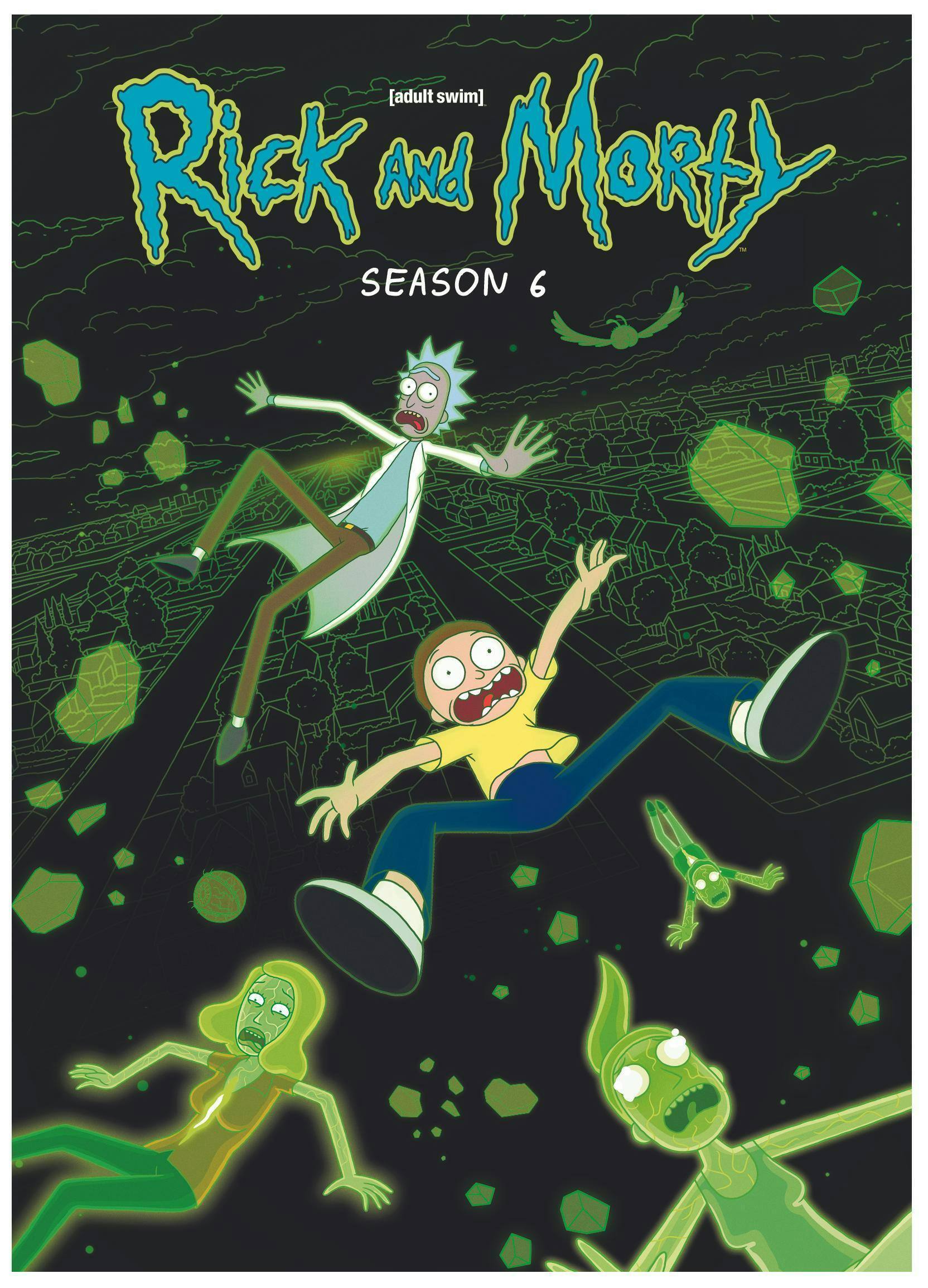Front. Rick and Morty: Season 6 [DVD].