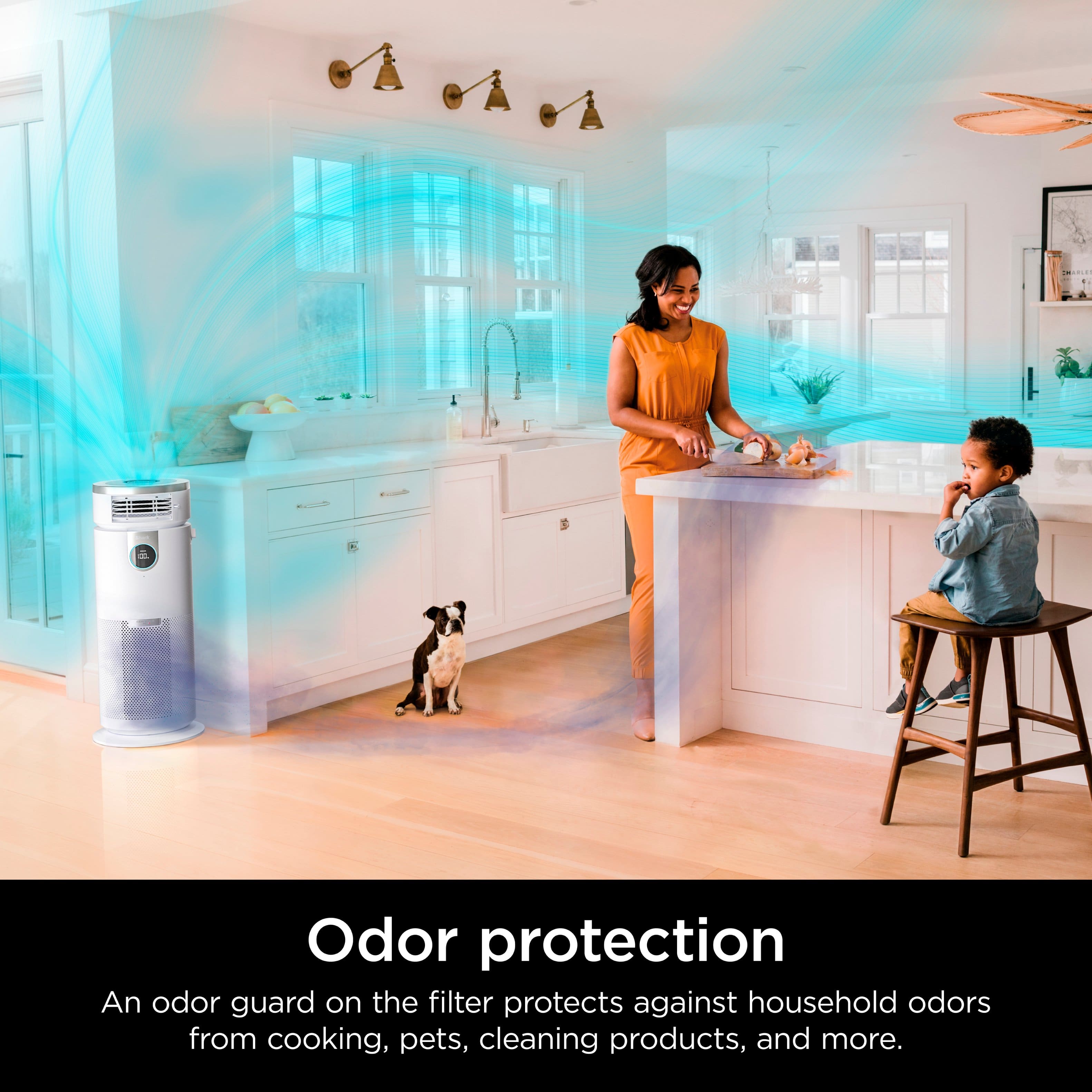 Odor protection: An odor guard on the filter protects against household odors from cooking, pets, cleaning products, and more.