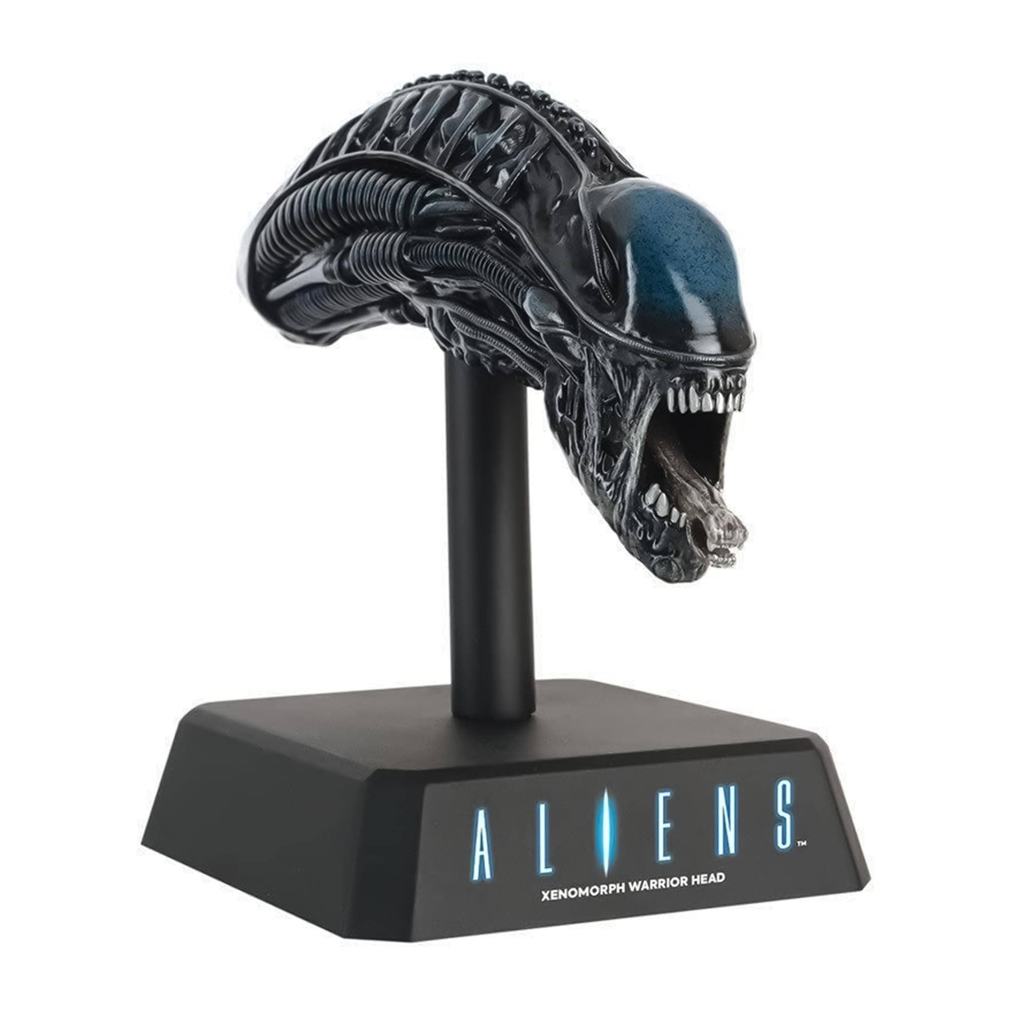 ALIENS. XENOMORPH WARRIOR HEAD