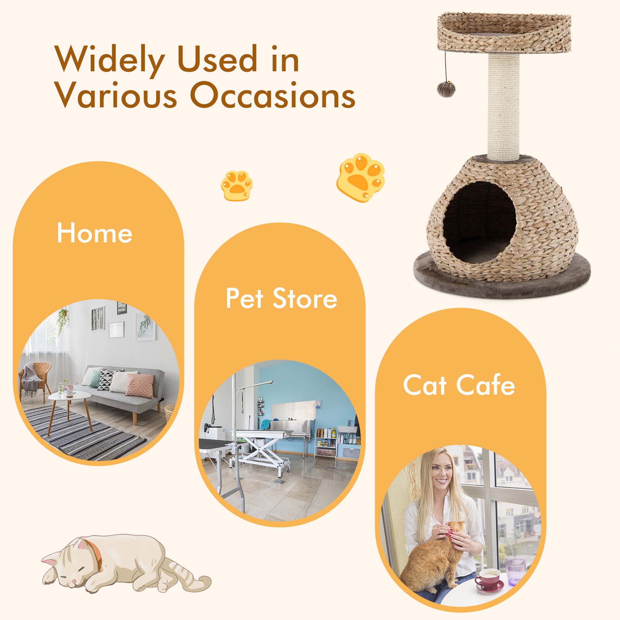 Widely Used in Various Occasions

Home
Pet Store
Cat Cafe