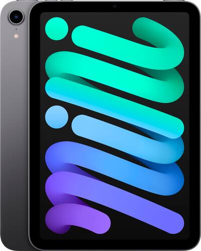 SA227 Apple iPad mini 本体 Apple iPad mini (6th Generation) Wi Fi 256GB Space Gray