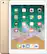 Alt View 12. Apple - iPad (5th generation) with WiFi - 32GB - Gold.