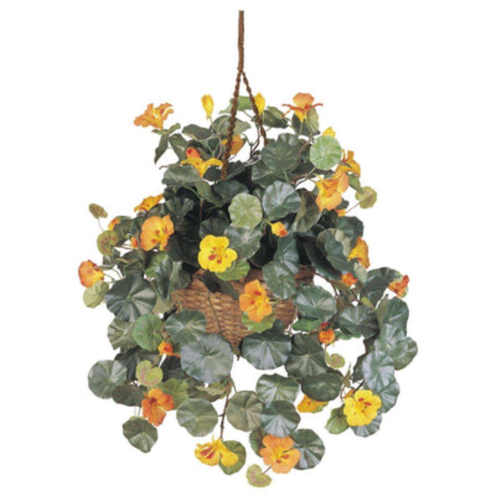 Front. BreeBe - 22" Nasturtium Hanging Basket - NA.