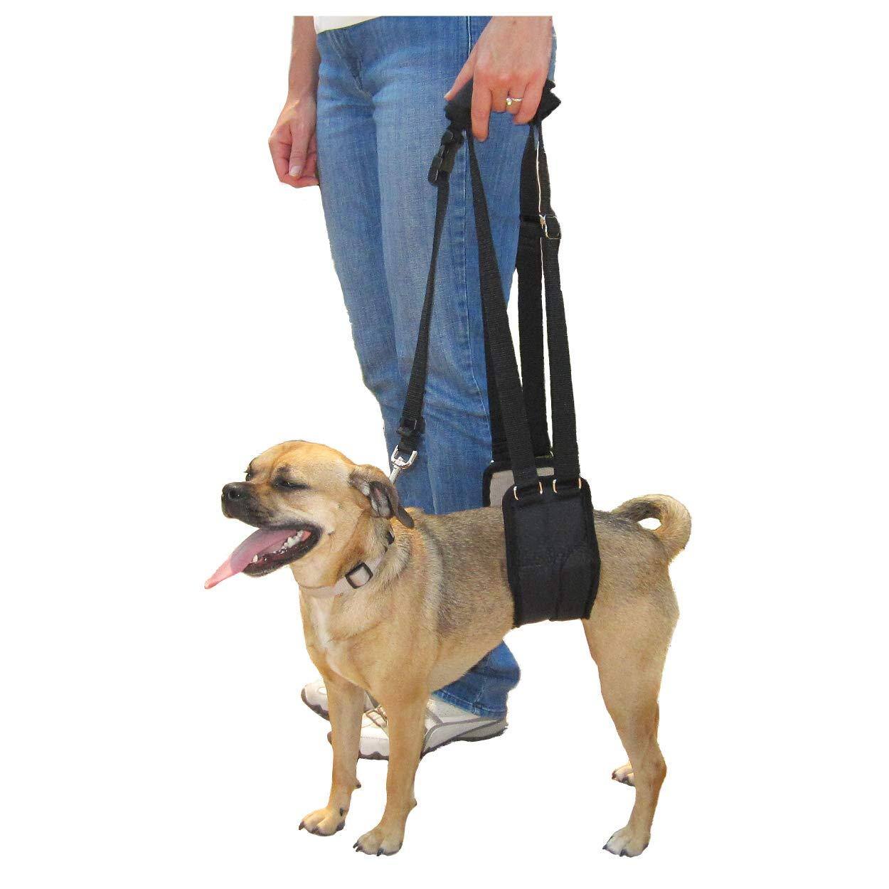 Alt View 1. Paradigms Interiors - Dog Sling Support Harness Sm Female Fits To Size Pets Or Larger Chested Dogs Like Boxers Bullies Padded Rear - Medium-Large Unisex.