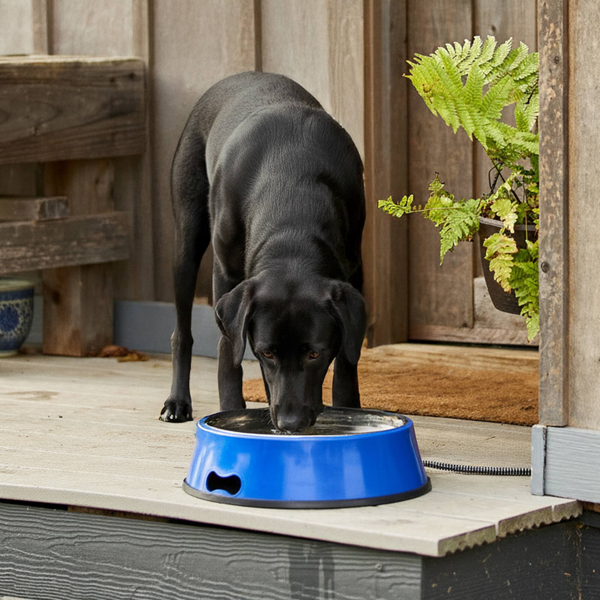 Alt View 3. Farm Innovators - Farm Innovators Signature Series 3QT Heated Pet Bowl with Stainless Steel Insert - Blue.