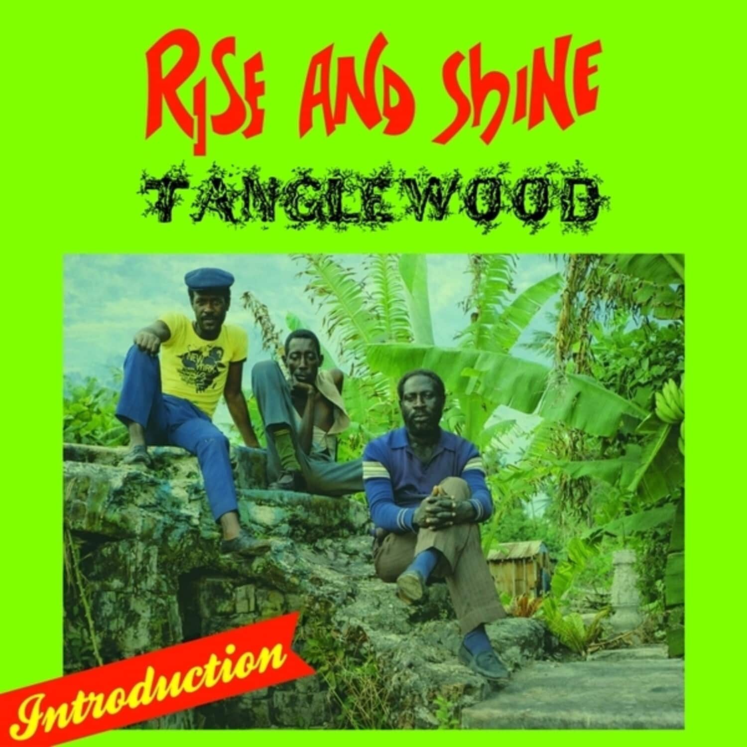 Tanglewood - Rise And Shine   - VINYL LP price history on PriceWatchPro