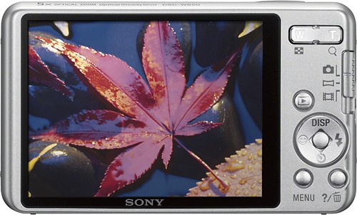Sony Cyber-shot DSC-W650 Digital Camera review: Sony Cyber-shot DSC-W650  Digital Camera - CNET